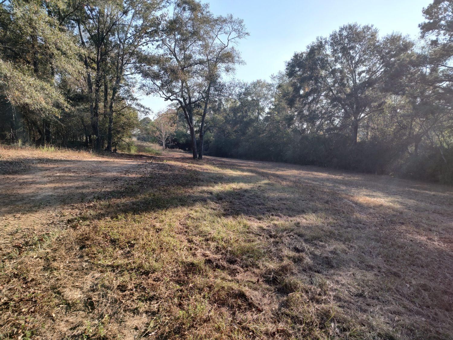 9 Acres, County Road 639, Coffee Springs, AL 36318 Land and Farm