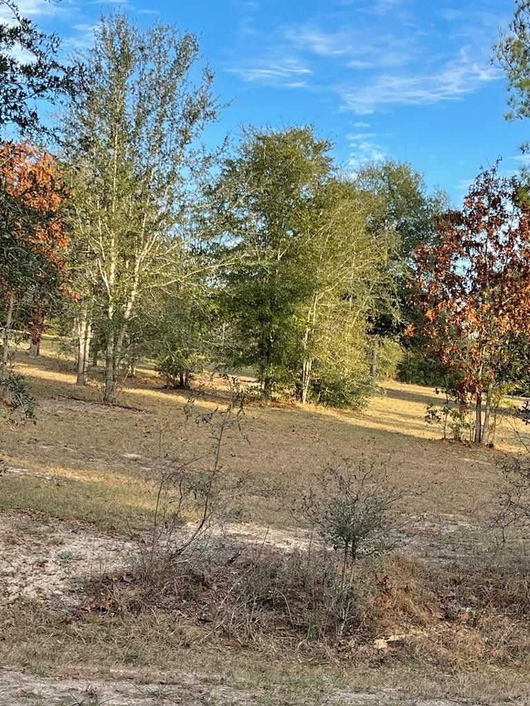 10 Acres, lot120 , Garden Rd, Collins, GA 30421 Land and Farm