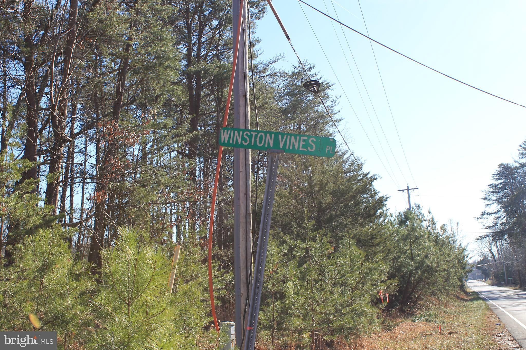 23.49 Acres, 5430 WINSTON VINES PLACE, Indian Head, MD 20640 Land and