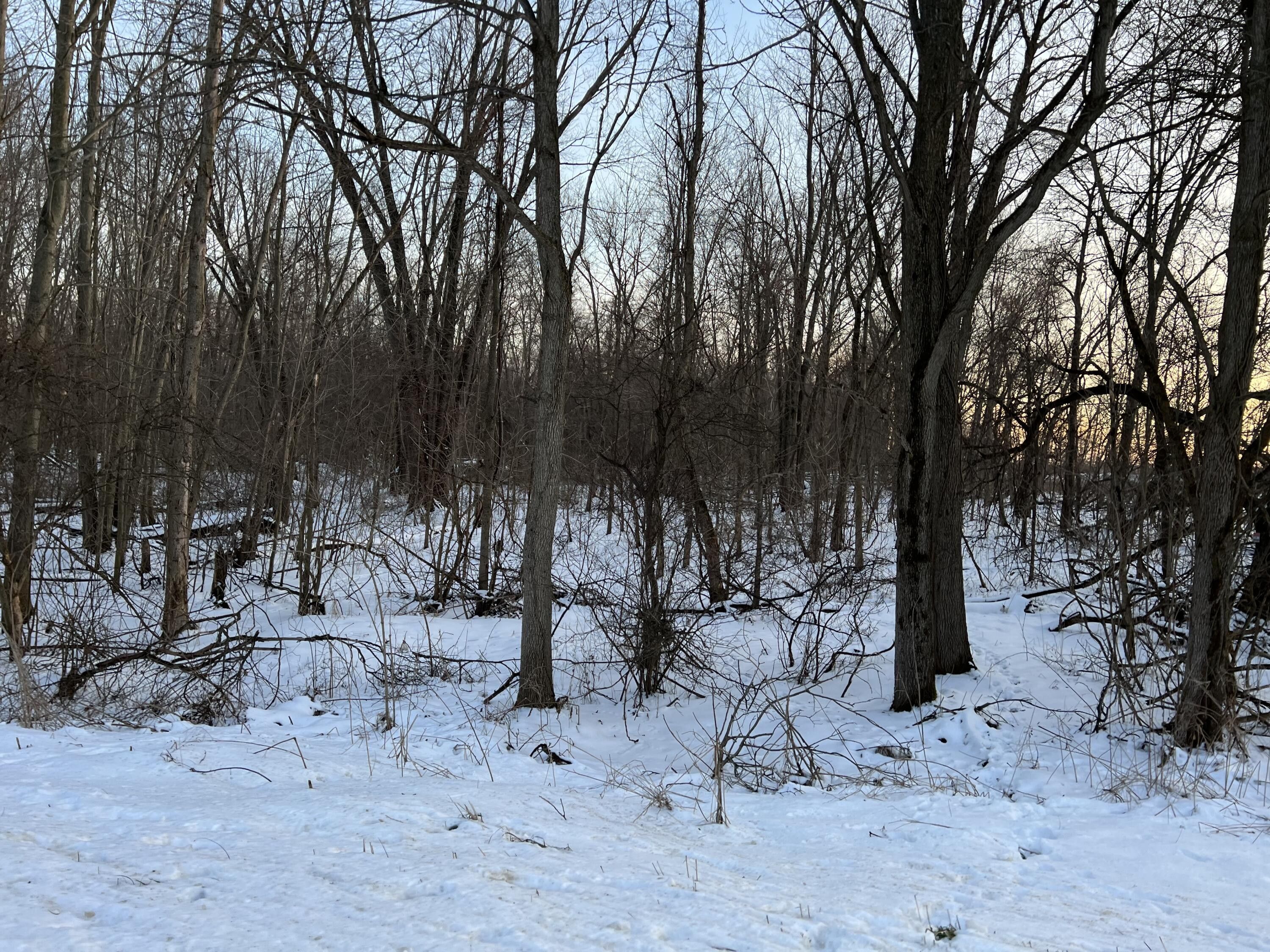 4 Acres, 16565 Mt Zion Street, Cassopolis, MI 49031 Land and Farm