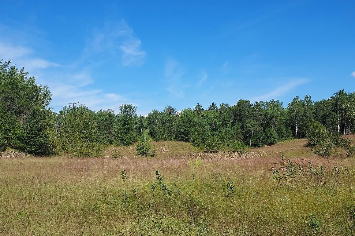 5.35 Acres, Ring Lane, Beecher, WI 54156 Land and Farm