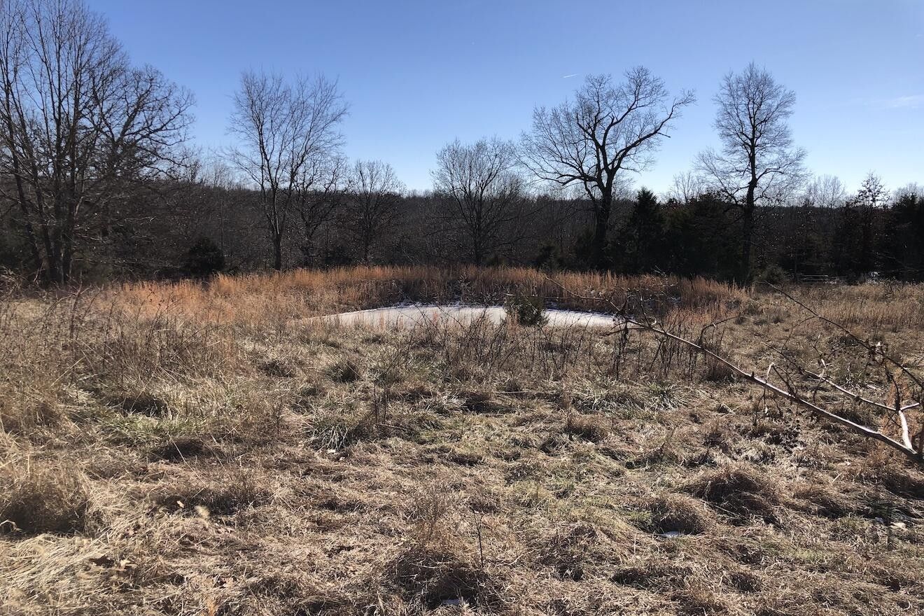 10 Acres, 266 County Road 330, Thayer, MO 65791 Land and Farm