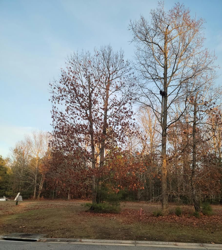 0.23 Acres, 208 BLUE HEAVEN RD, Cape Charles, VA 23310 Land and Farm