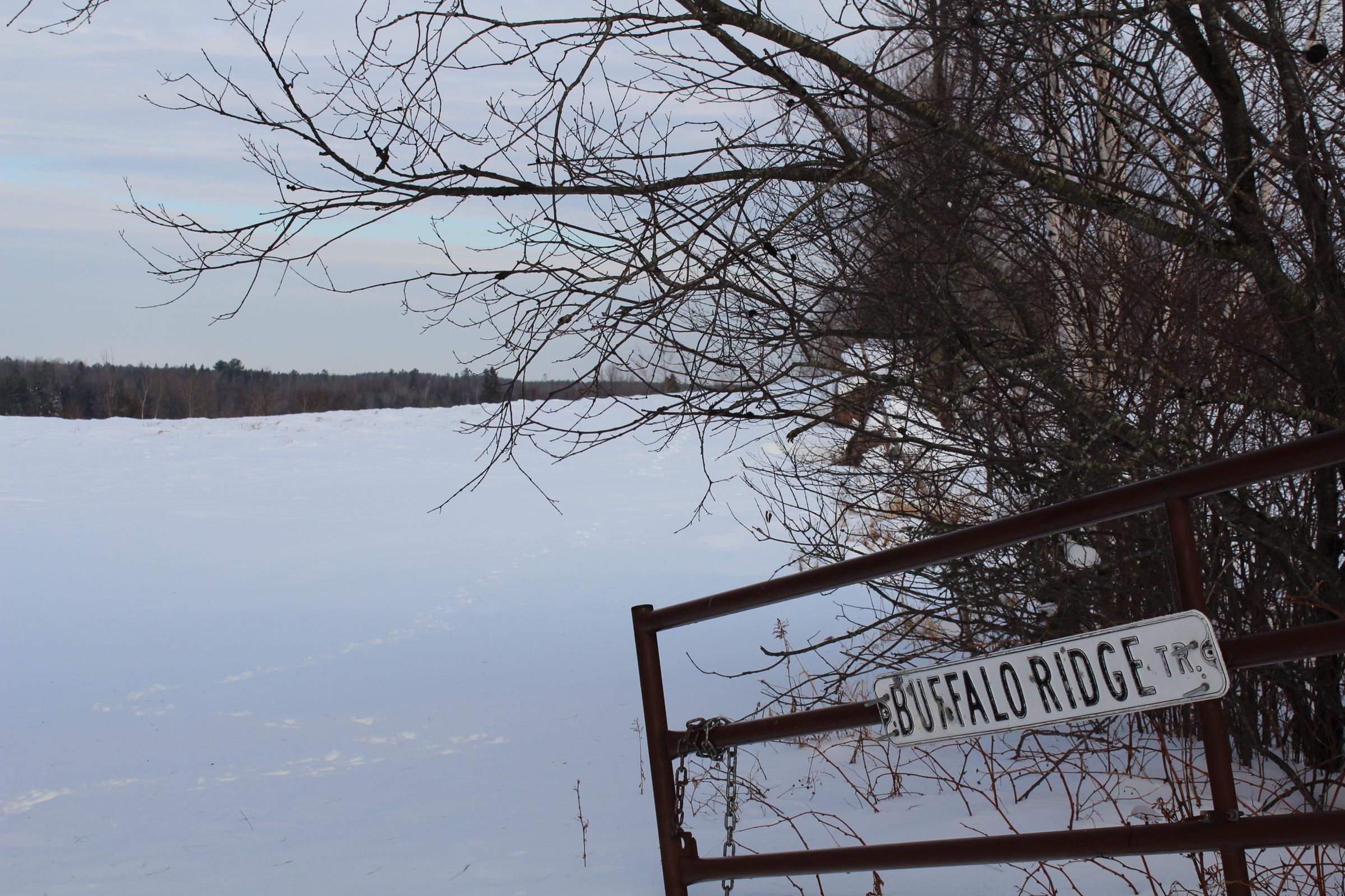 County Road D, Westboro, WI 54490 MLS 22205959 Land and Farm