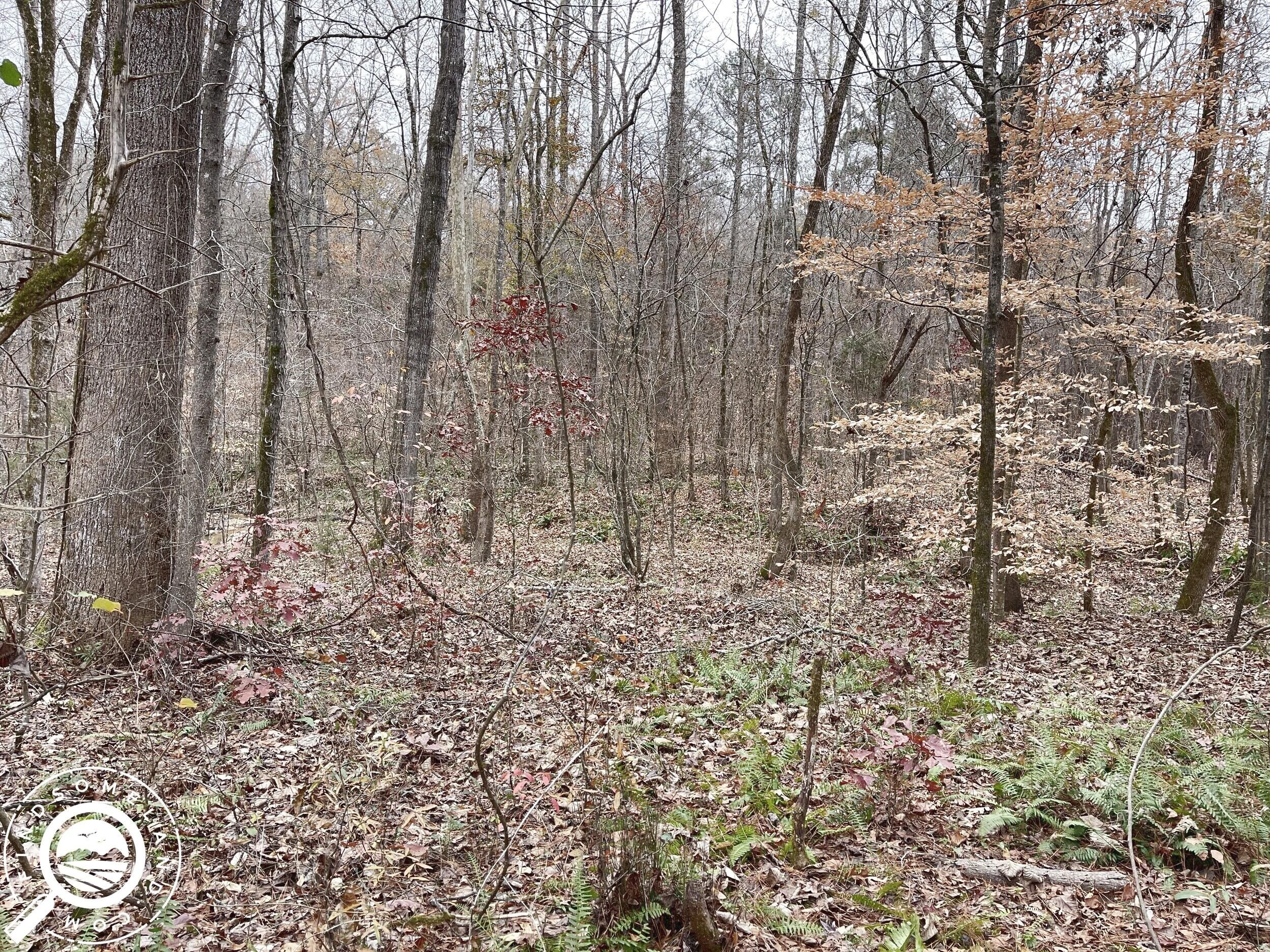 1.01 Acres, Waterloo, SC 29384 Land and Farm