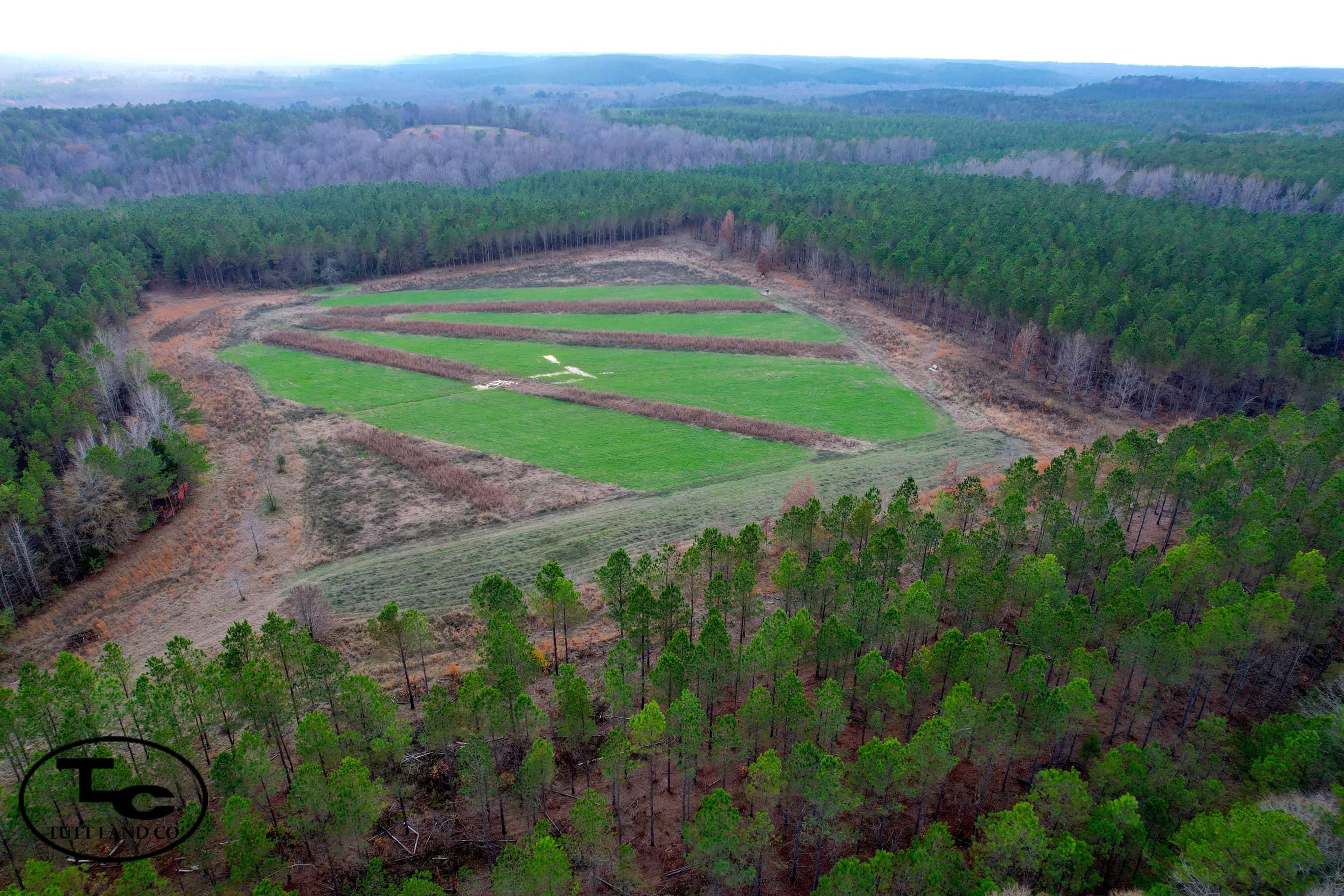556 Acres, Vernon, AL 35592 Land and Farm