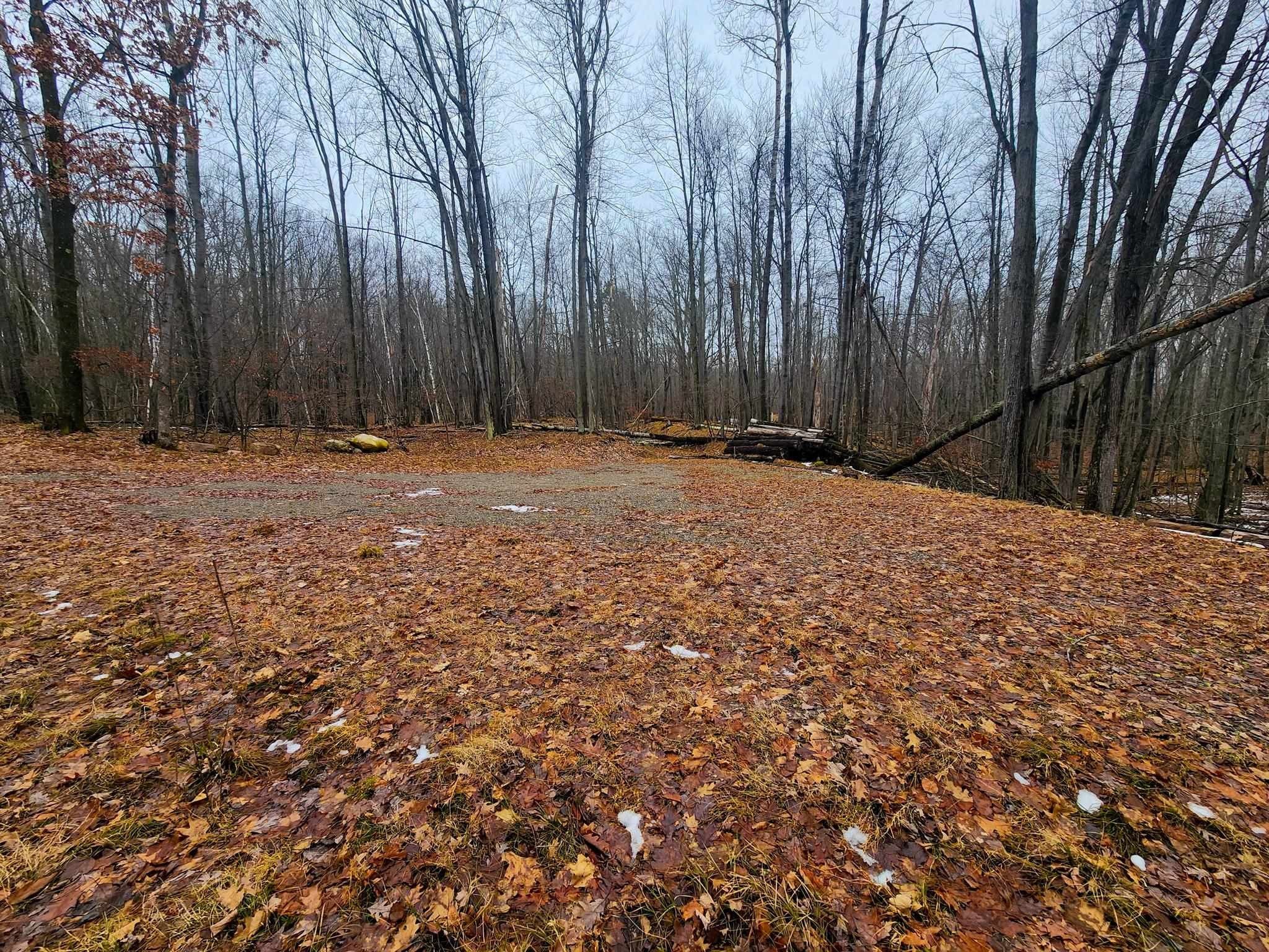 1.43 Acres, Lots 350 & 351 Elm Run, Farwell, MI 48622 Land and Farm