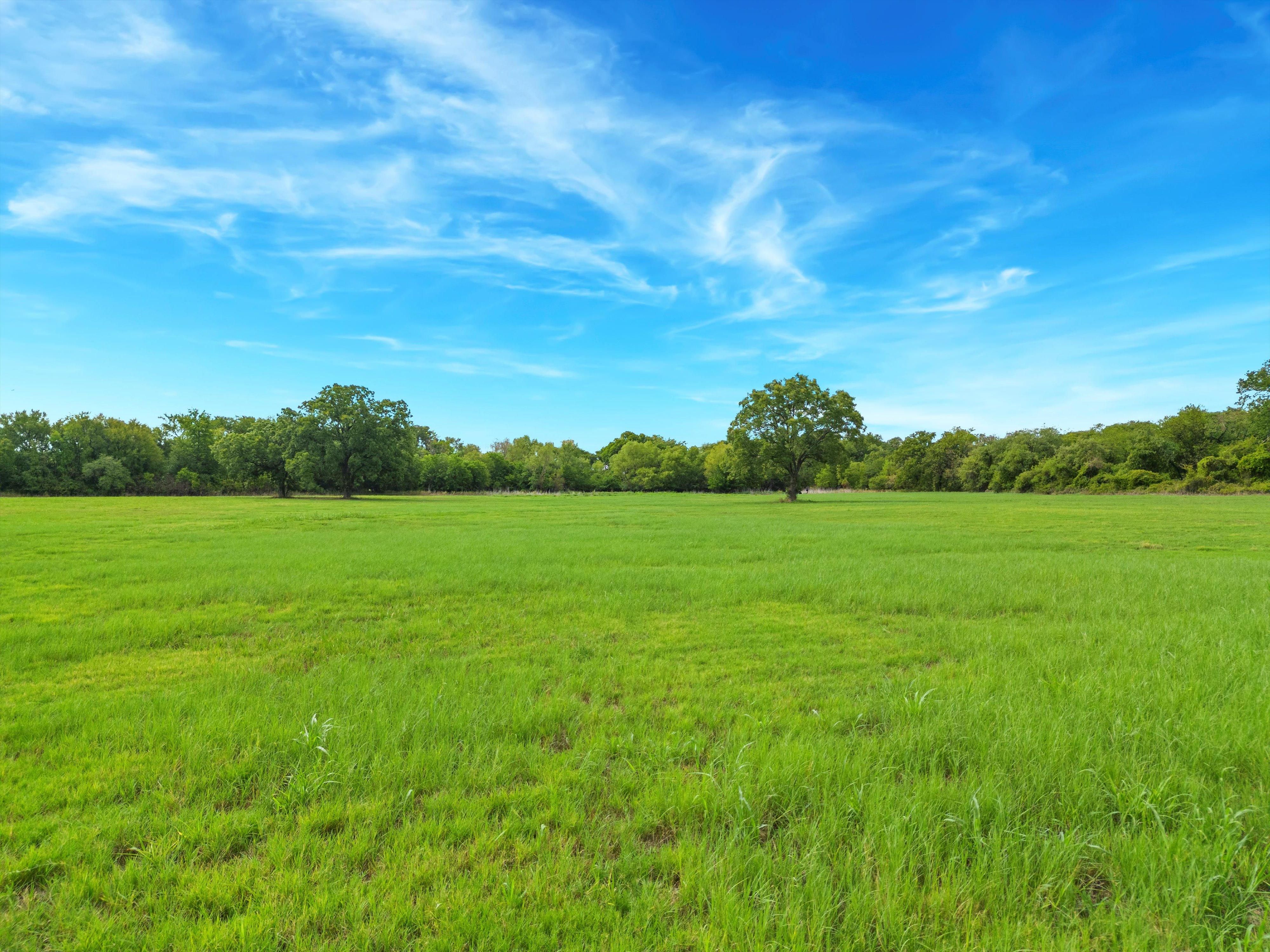 96.5 Acres, Tbd 96.5 Acres HCR 1446, Blum, TX 76627 Land and Farm