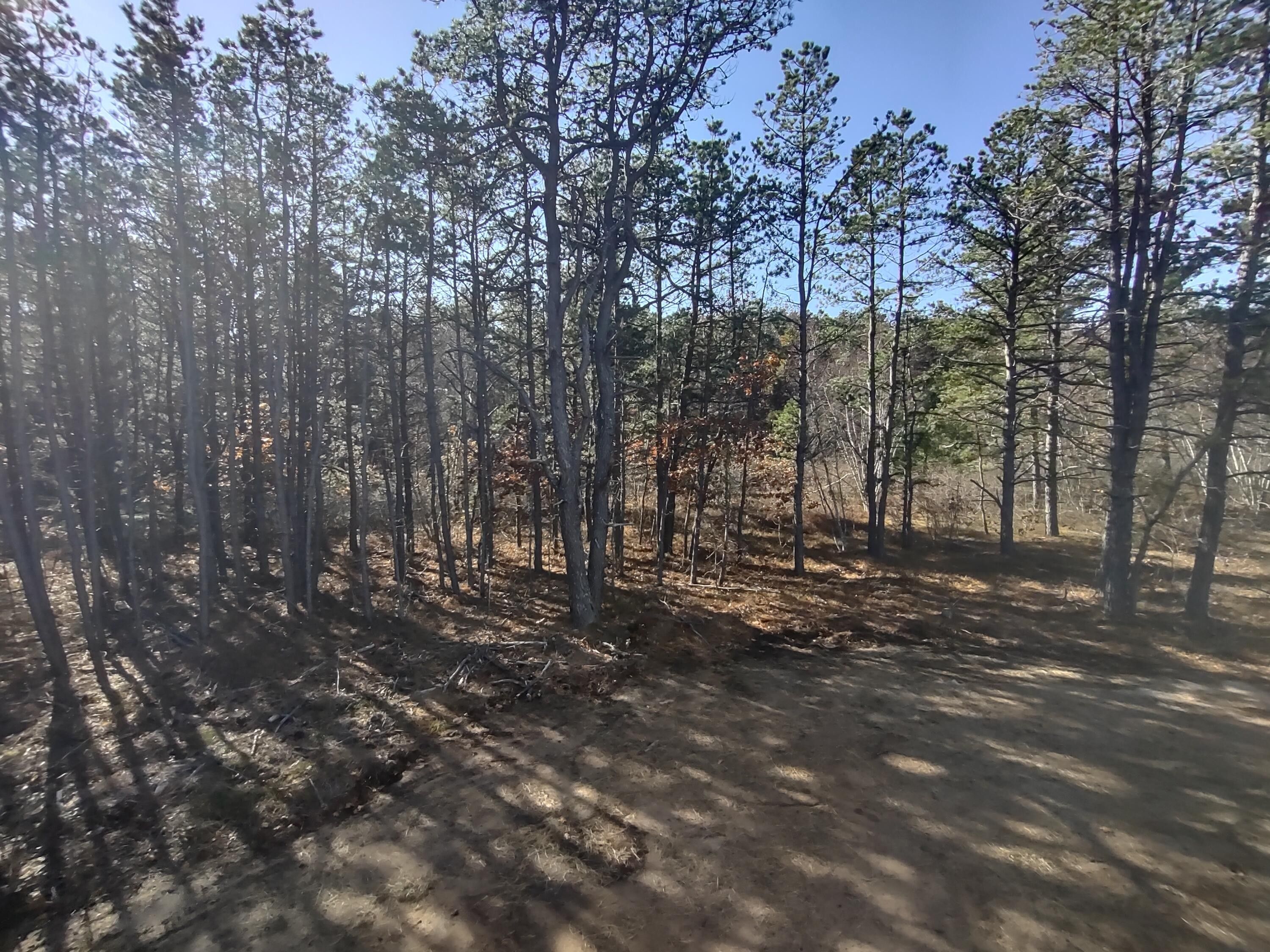 20 Acres, 0a Hooper Hill Road, Waterboro, ME 04030 Land and Farm