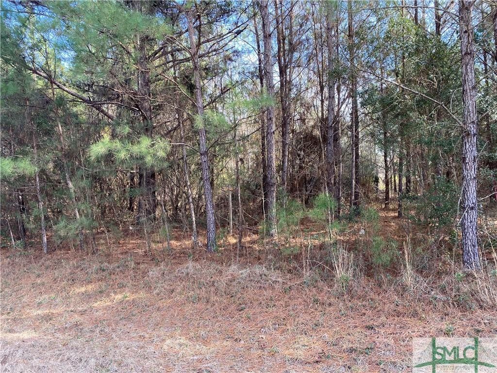 11 Acres, 1879 Courthouse Road, Guyton, GA 31312 Land and Farm