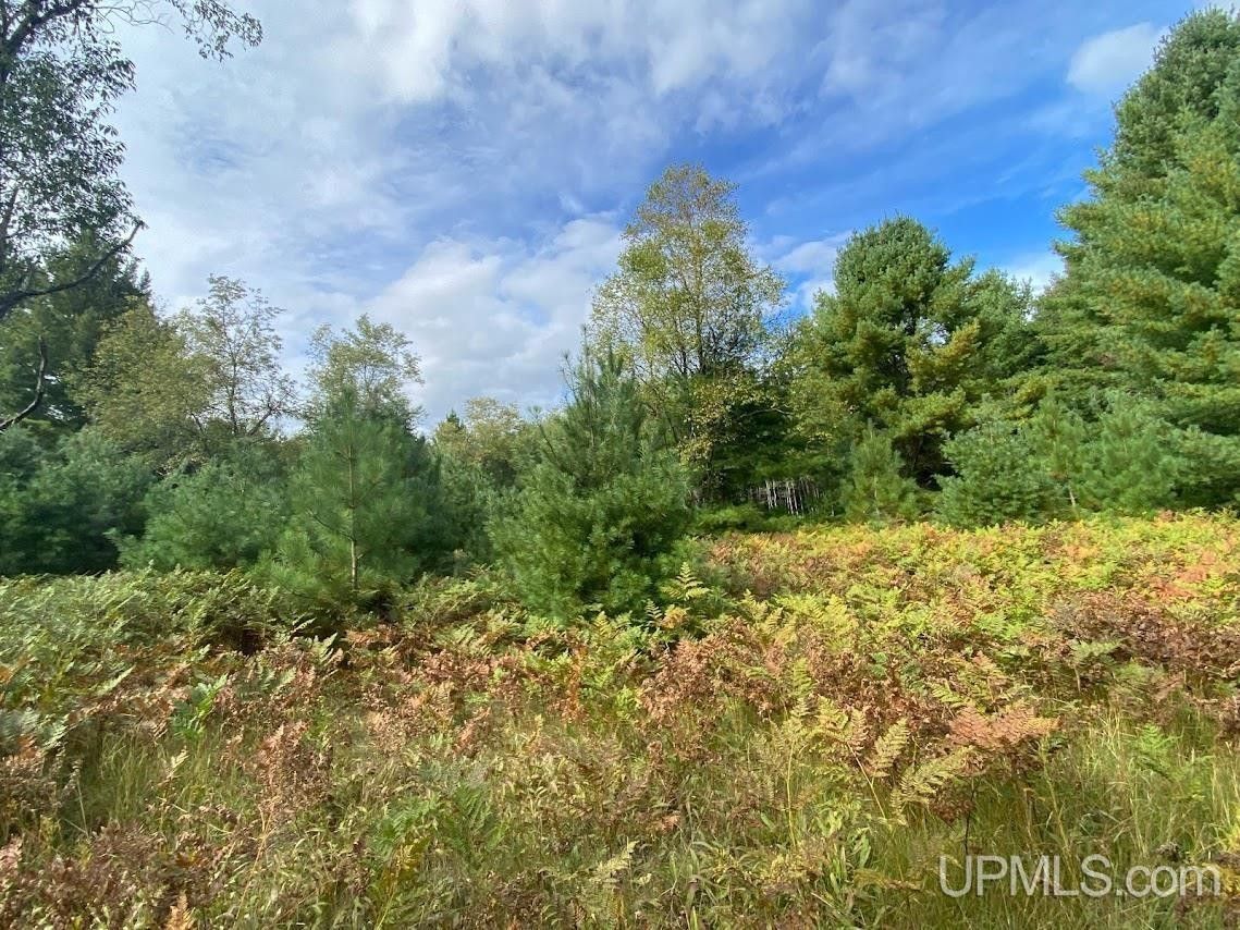 41.65 Acres, TBD N State Highway M94, Manistique, MI 49854 Land and Farm
