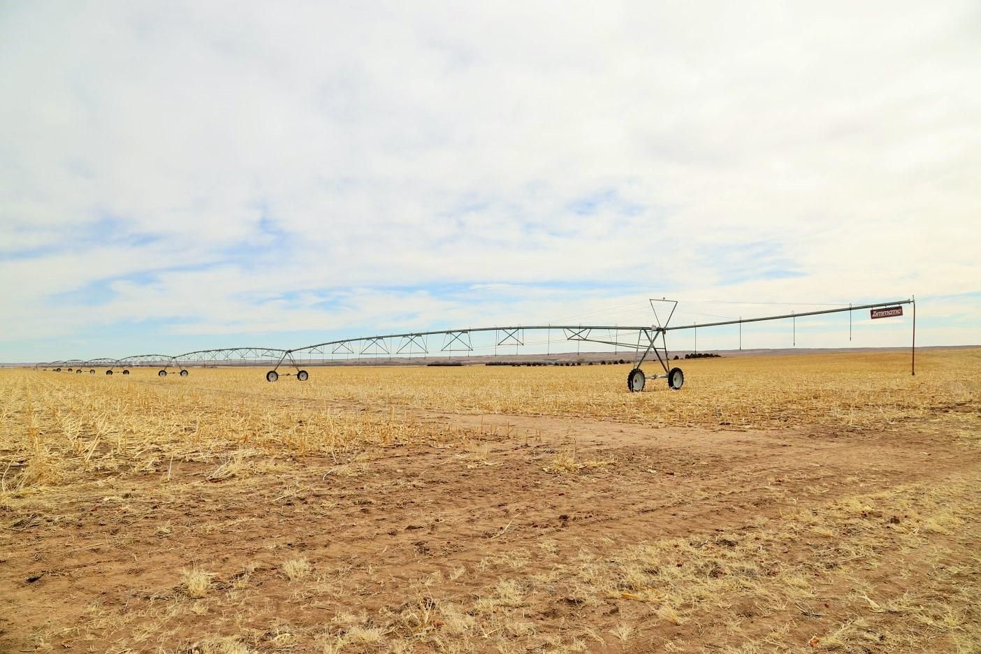 241 Acres, Ovid, CO 80744 Land and Farm