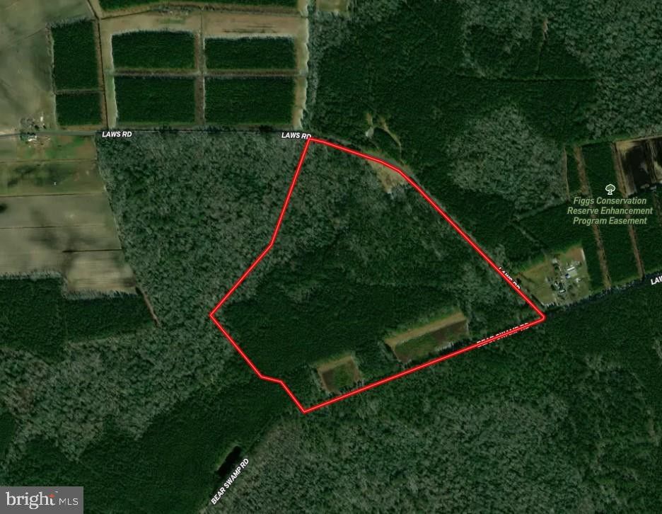80.22 Acres, LAWS ROAD, Parsonsburg, MD 21849 Land and Farm