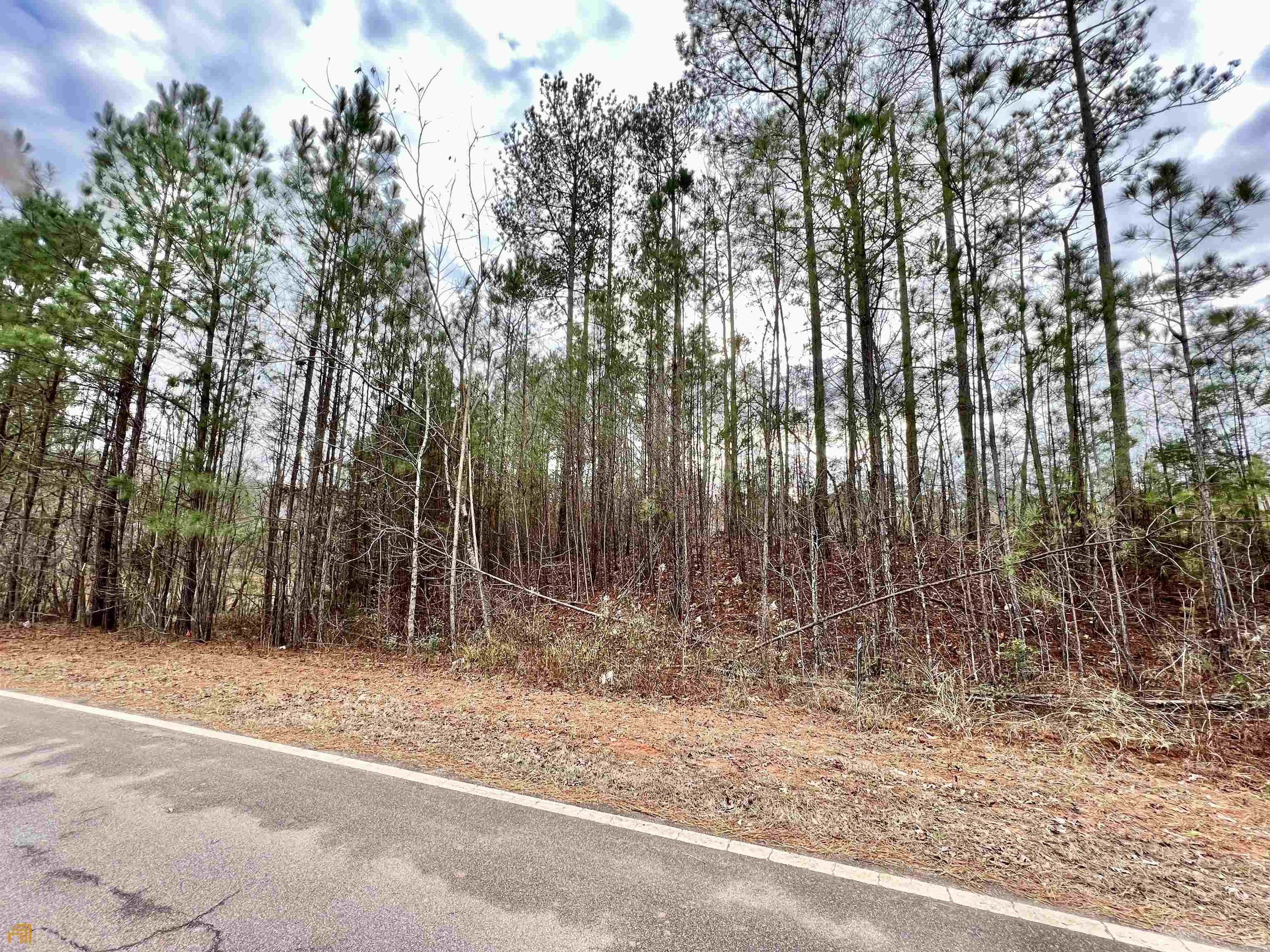 1.3 Acres, 139 Oak Ridge Drive, Monticello, GA 31064 Land and Farm