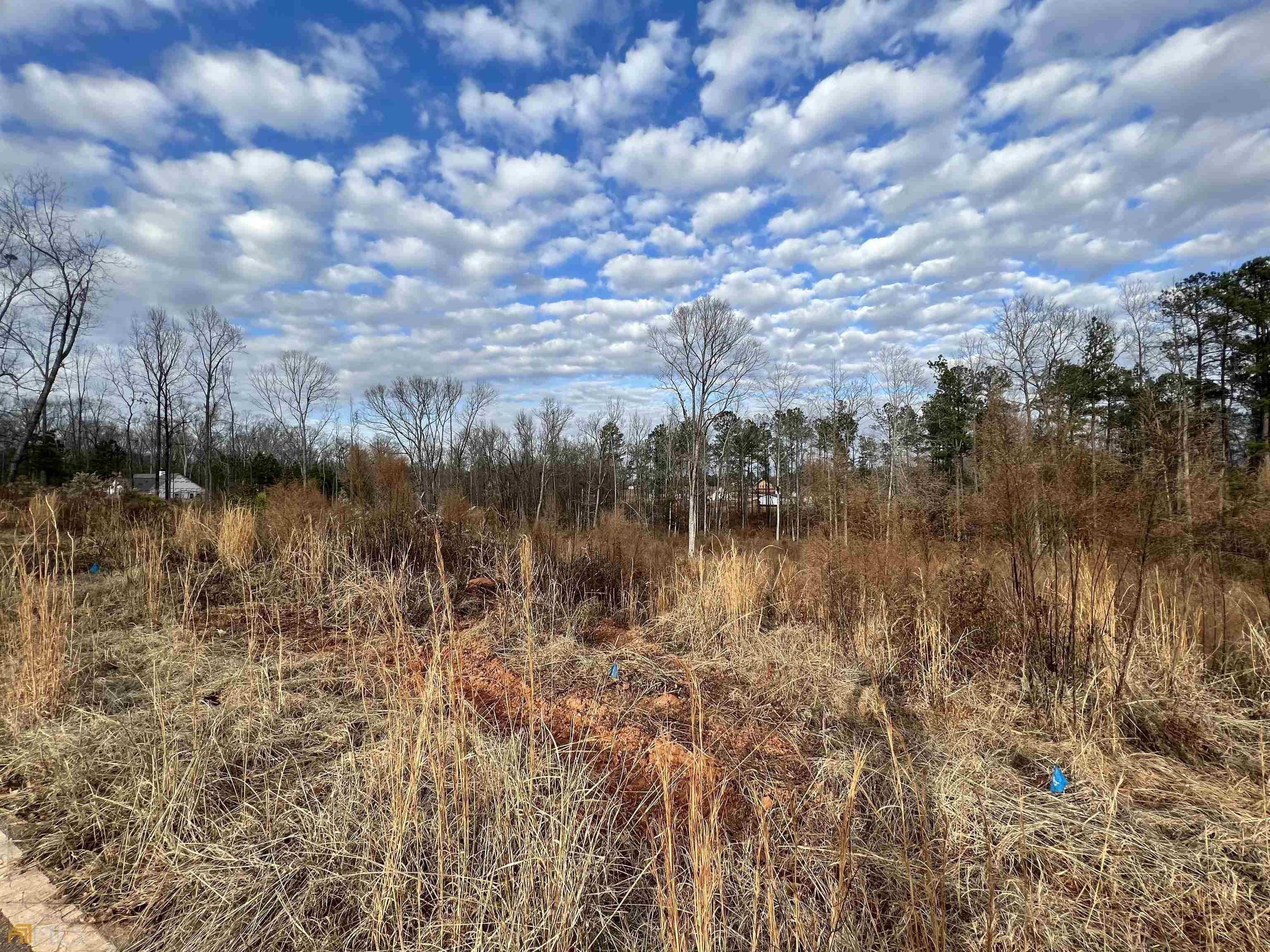 3.69 Acres, 274 Water Oak Drive, Monticello, GA 31064 Land and Farm