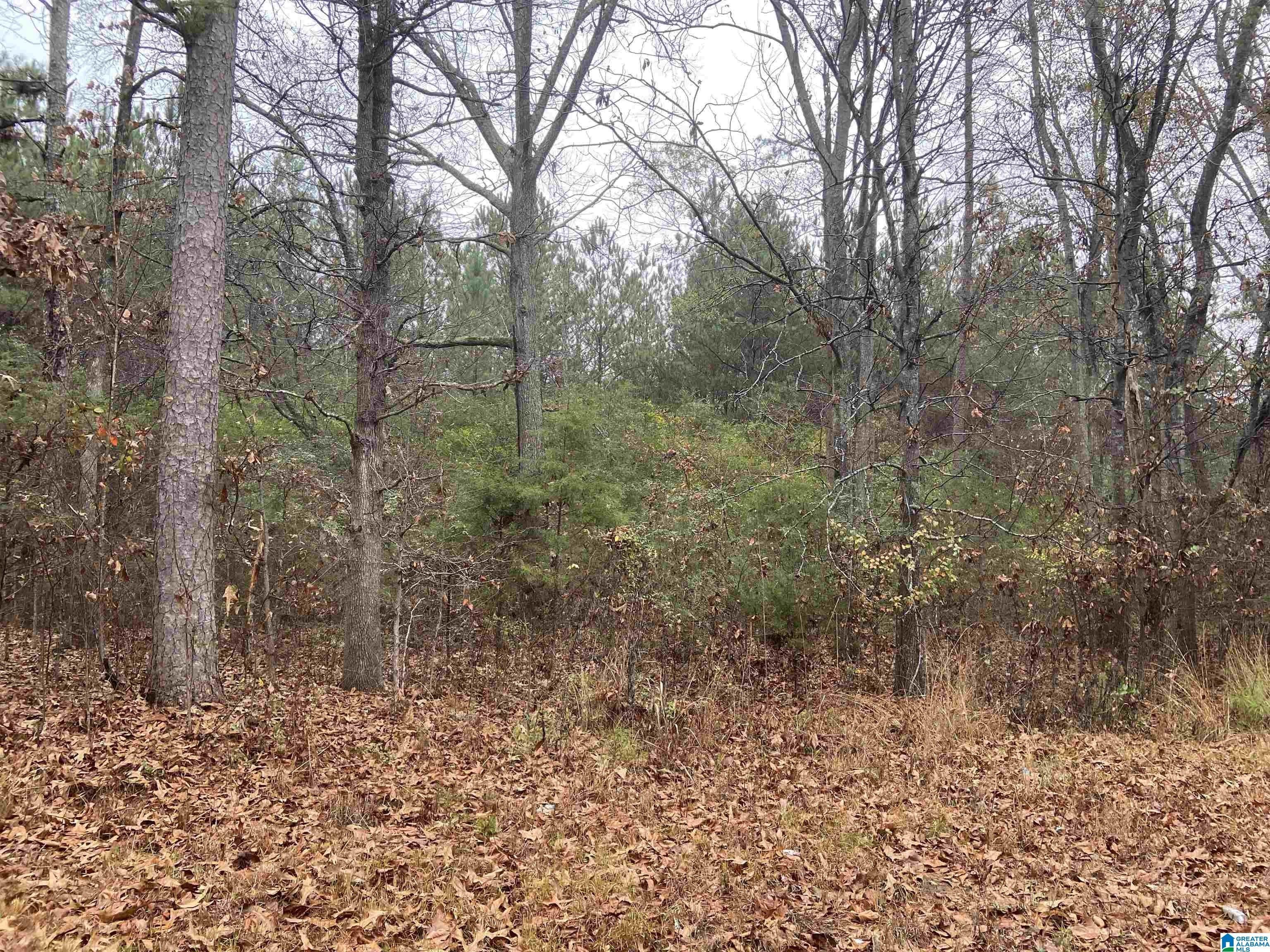 4 Acres, 1084 LOOP ROAD, Ashville, AL 35953 Land and Farm