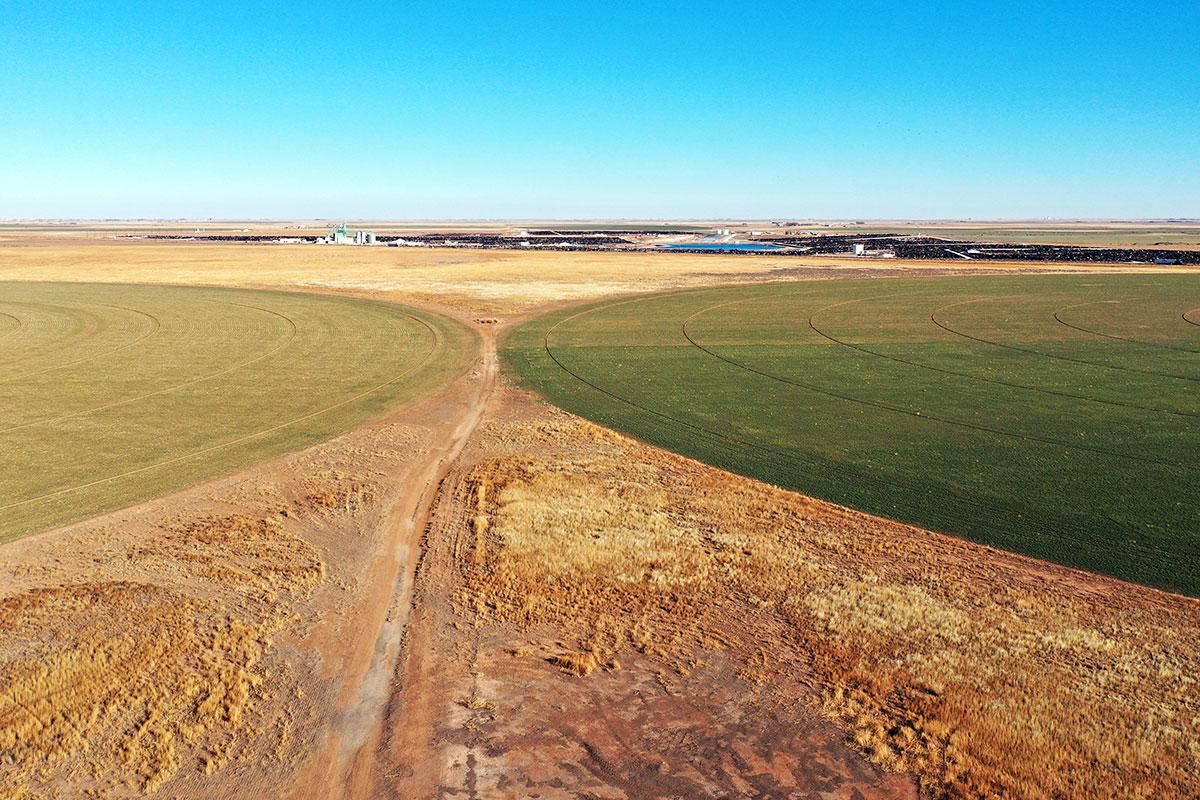 821 Acres, 2690 U.S. 54, Dalhart, TX 79022 Land and Farm
