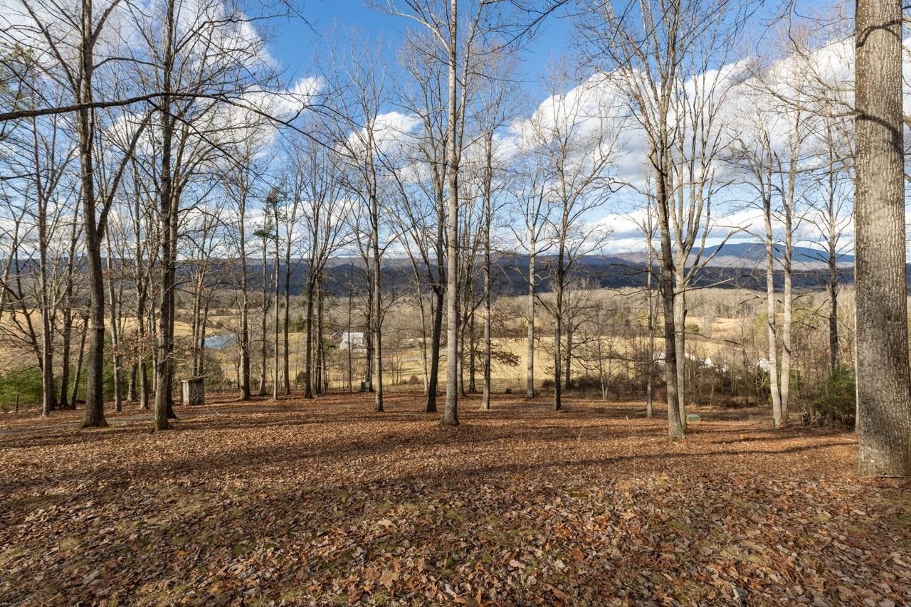 9.35 Acres, 1874 TROXEL GAP RD, Craigsville, VA 24430 Land and Farm