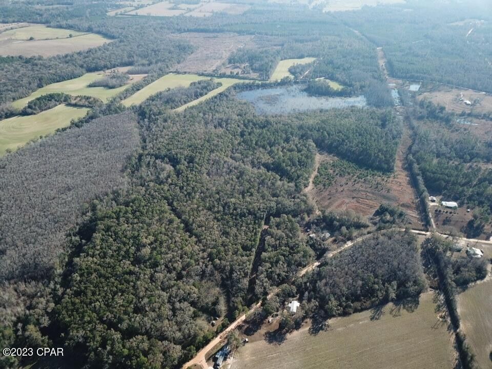 29 Acres, 00 JONES ROAD 29 ACRES, Graceville, FL 32440 Land and Farm