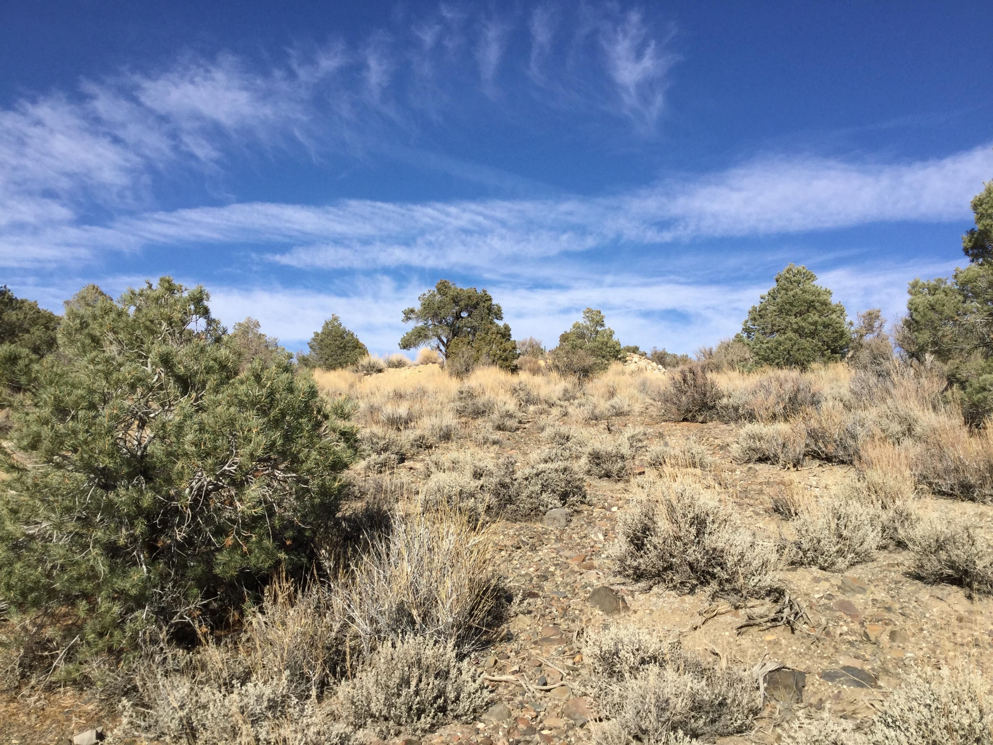 20.66 acres in Lida, NV, 89013 MLS Exclusive Land and Farm