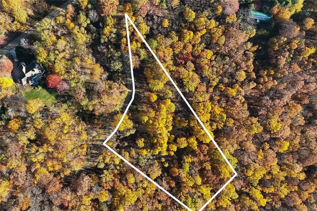 7 Day Lily Road, Landrum, SC 29356 MLS 296604 Land and Farm