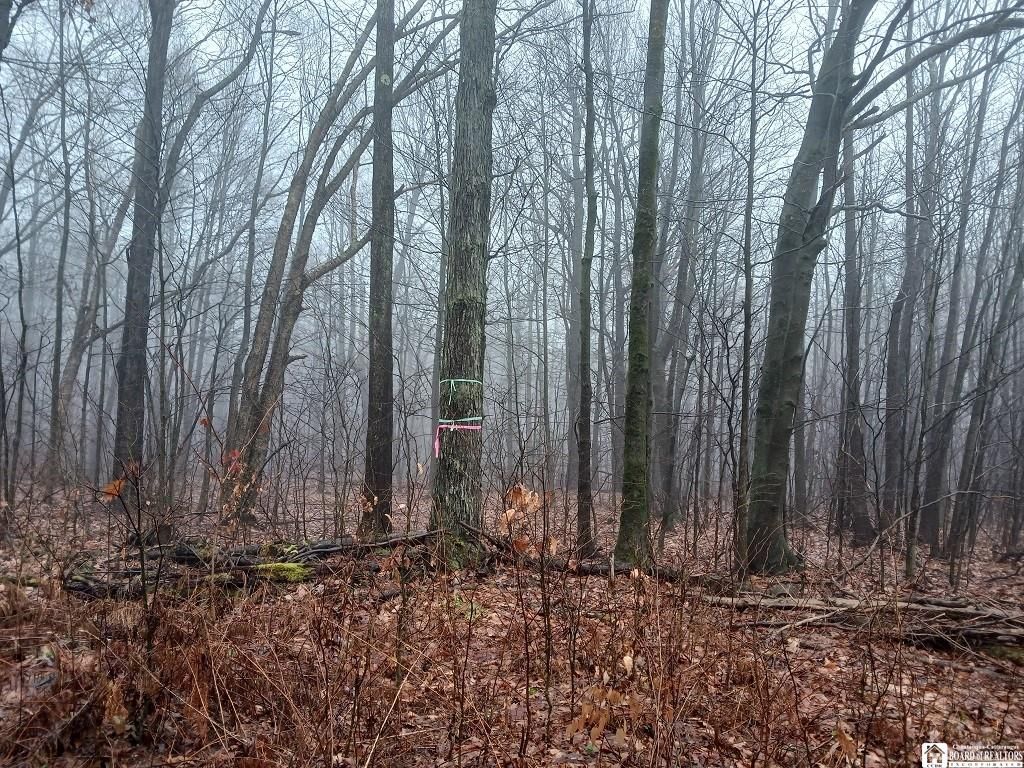 00 HoStaGeh Rd, Allegany, NY 14706 MLS R1450182 Land and Farm