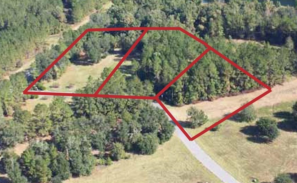 3 Acres, SW 128TH ROAD, Worthington Springs, FL 32697 Land and Farm