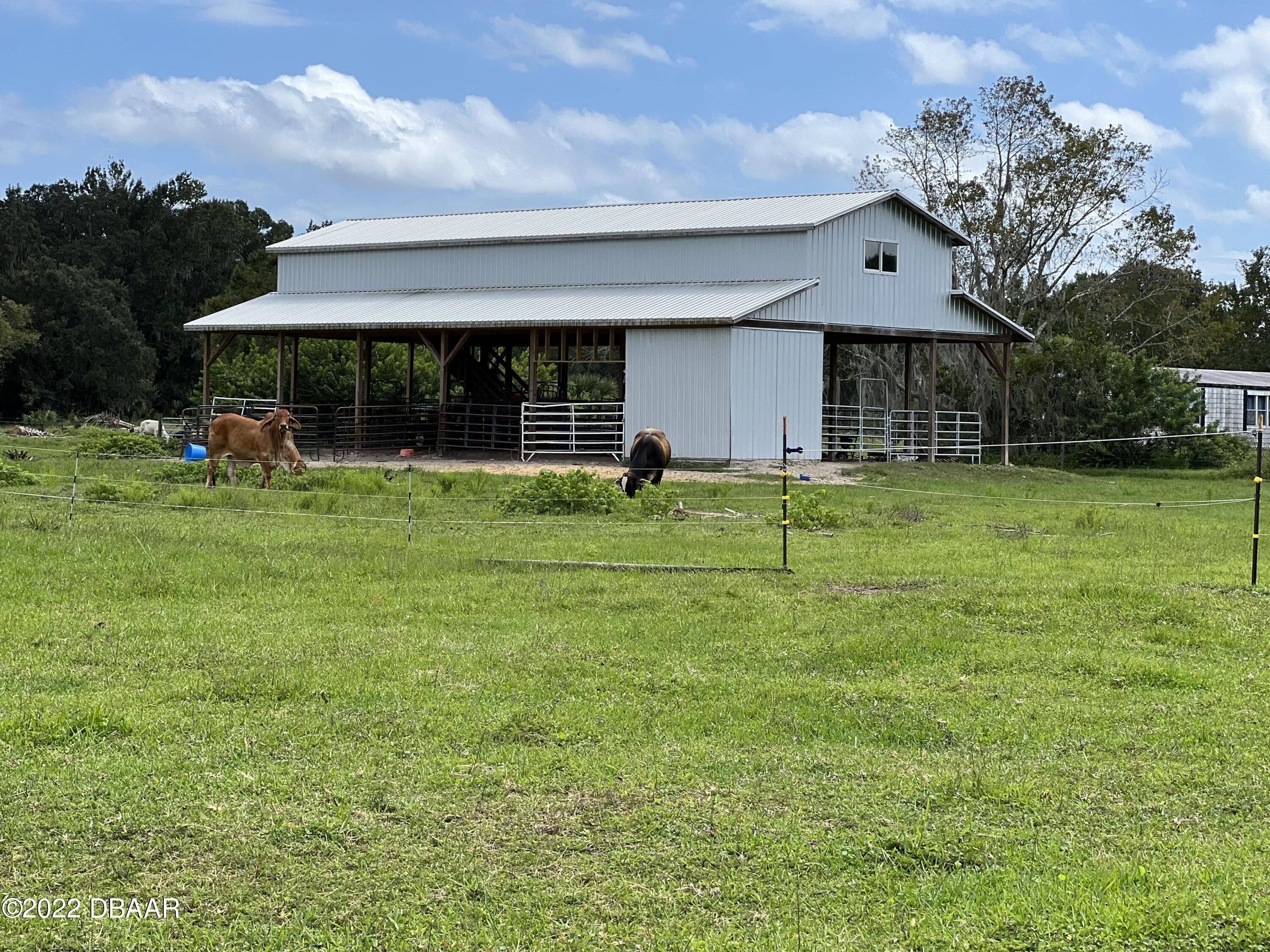 20.3 Acres, 1135 Reed Grove Road, Oak Hill, FL 32759 Land and Farm