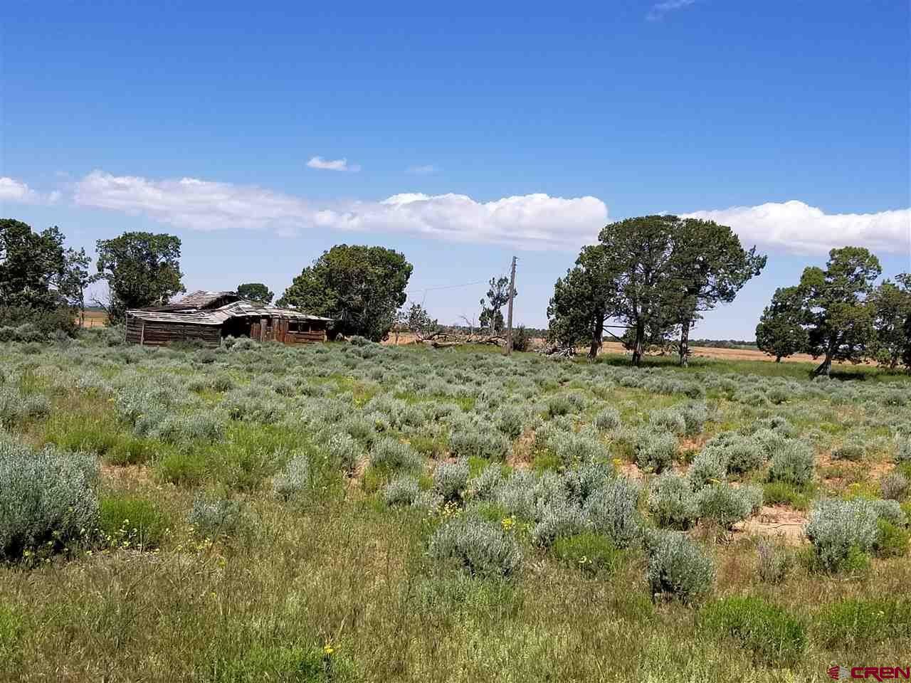 TBD 6HS, Egnar, CO 81325 MLS 776322 Land and Farm