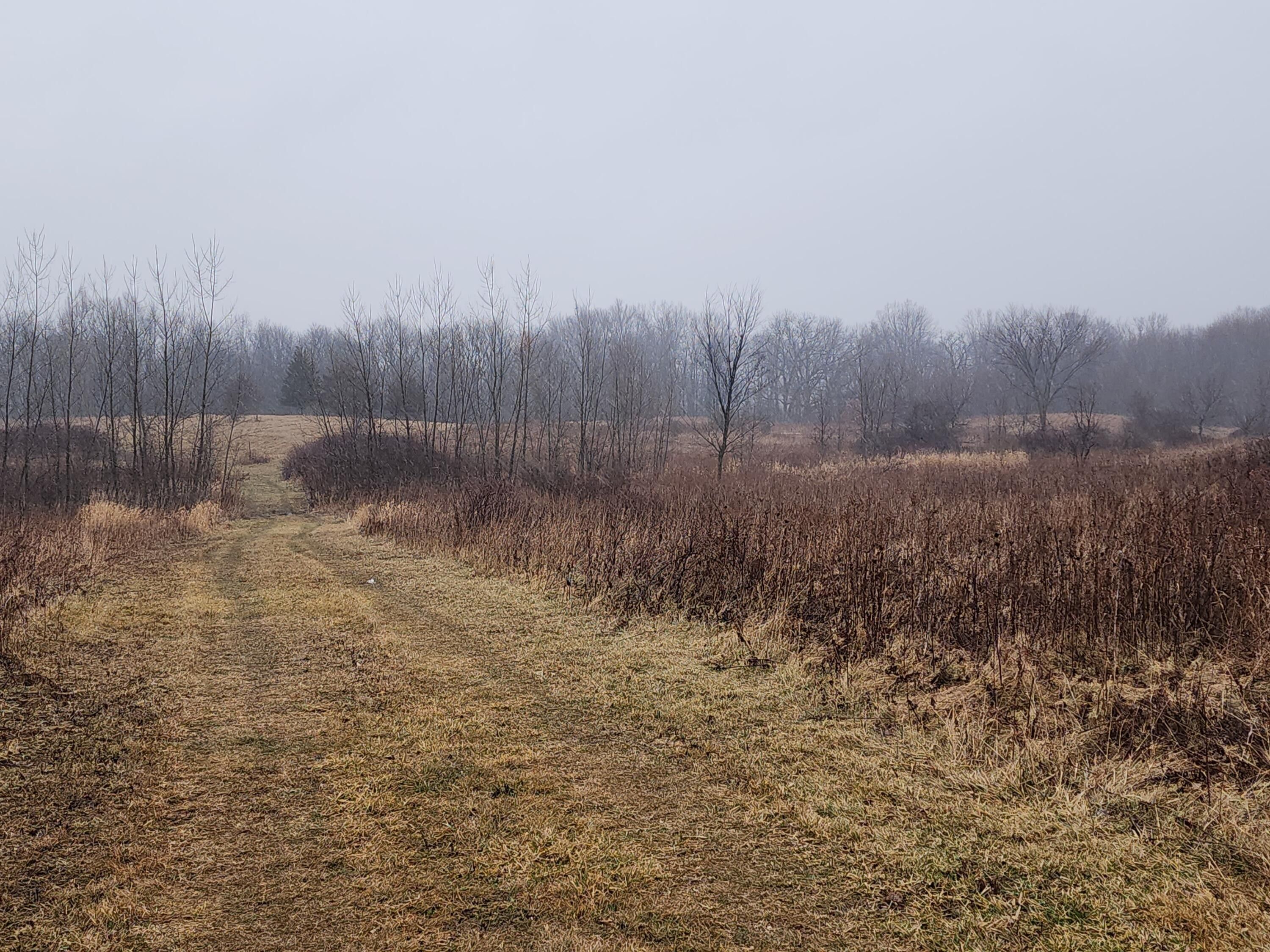 15 Acres, 1 & 2 Country Place Dr, Hastings, MI 49058 Land and Farm