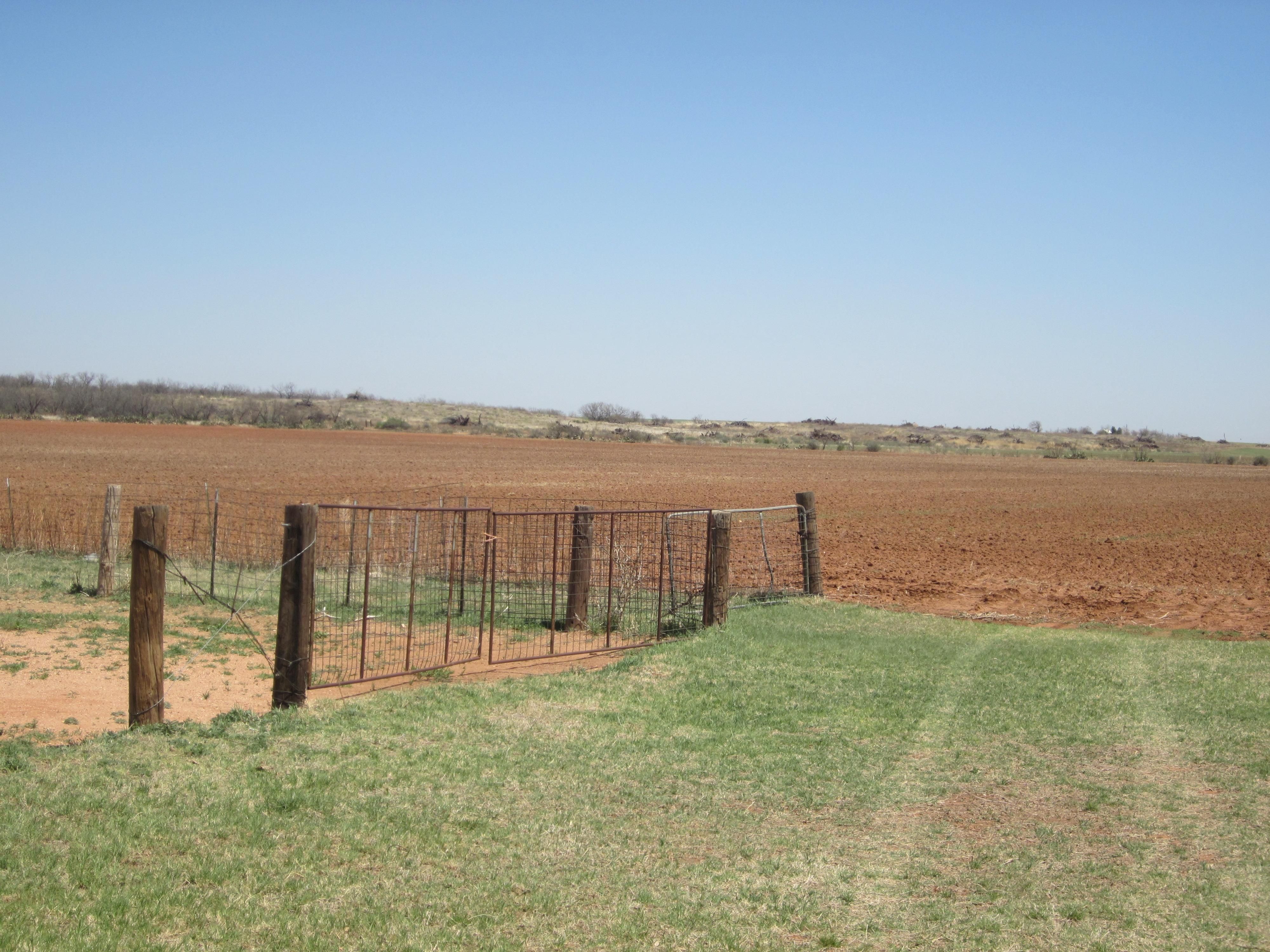 40 Acres, 659 County Road 612, Trent, TX 79561 Land and Farm