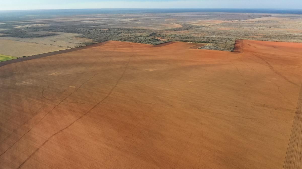 316 acres in Trent, TX, 79561 MLS 23283 Land and Farm