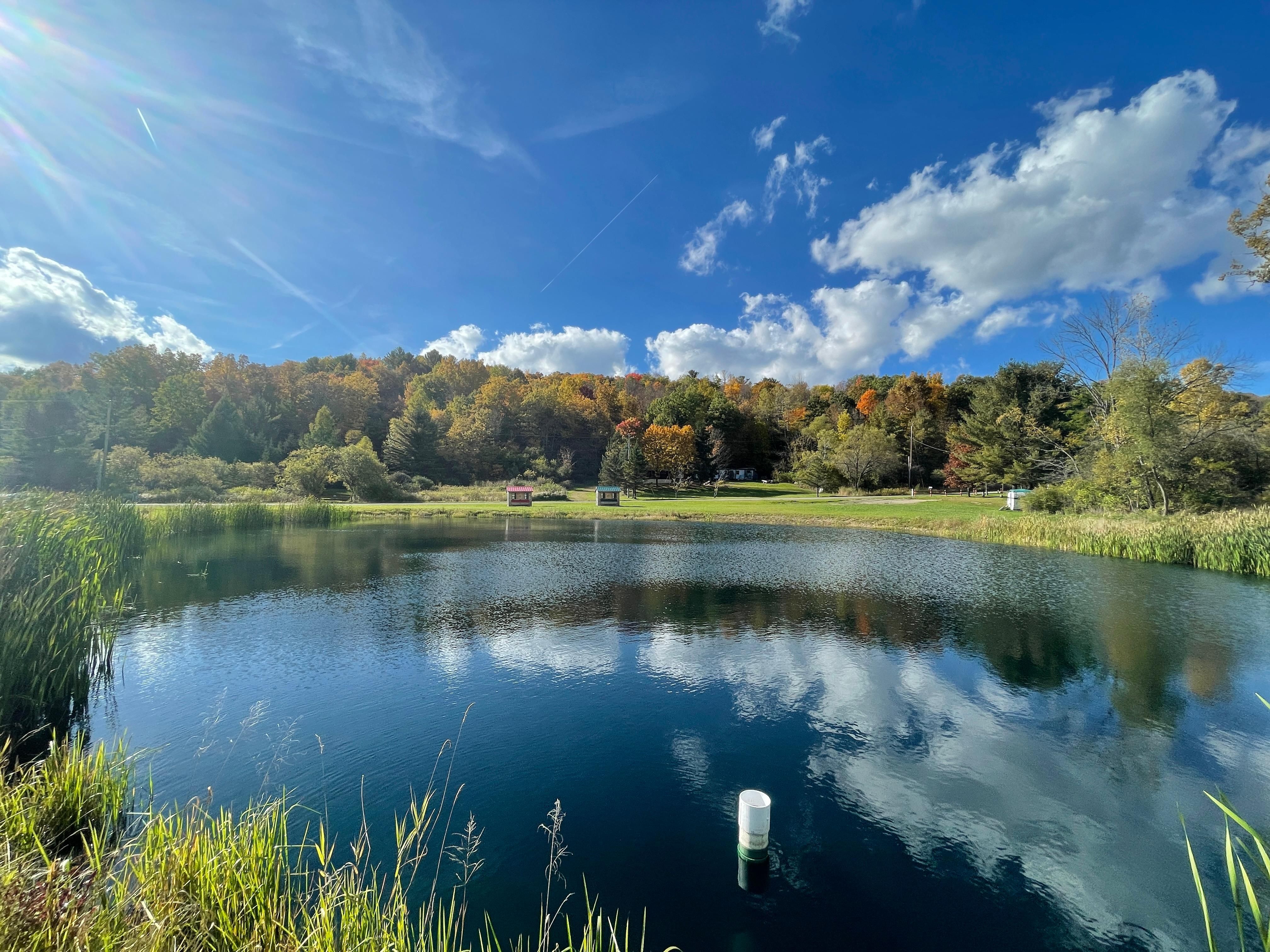 6118 Windfall Road, Belmont, NY 14813 Land and Farm