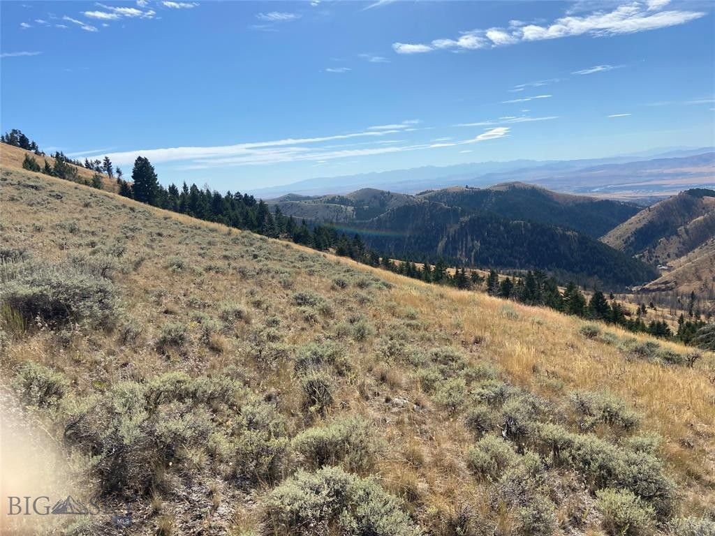 20 Acres, Tbd SKYLINE LOT 414 Road, Clarkston, MT 59742 Land and Farm