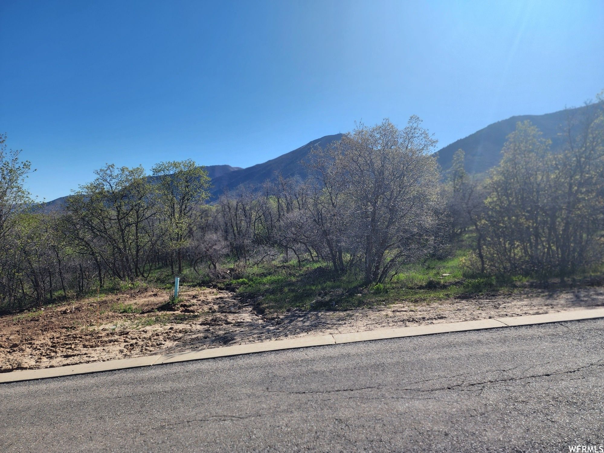 0.73 Acres, 1007 S SUMMIT DR, Woodland Hills, UT 84653 Land and Farm