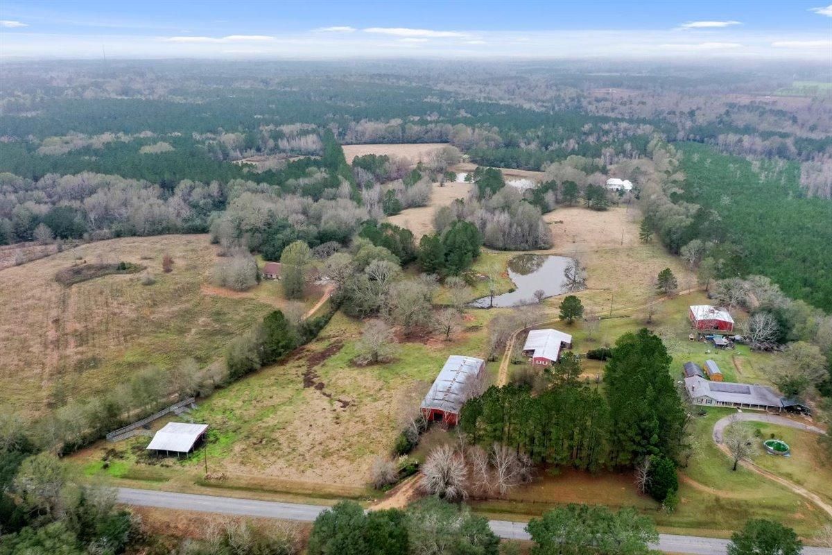 50 Acres, 36453 Louisiana 1055, Mount Hermon, LA 70450 Land and Farm
