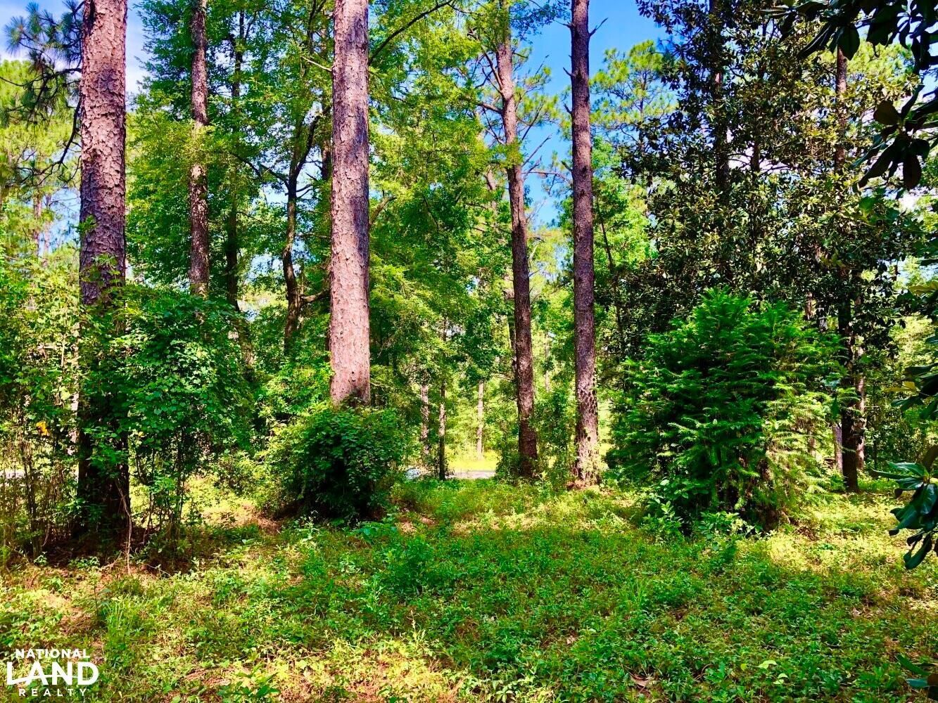 2.77 Acres, 1906 S. 28th Avenue Ext., Hattiesburg, MS 39401 Land and Farm