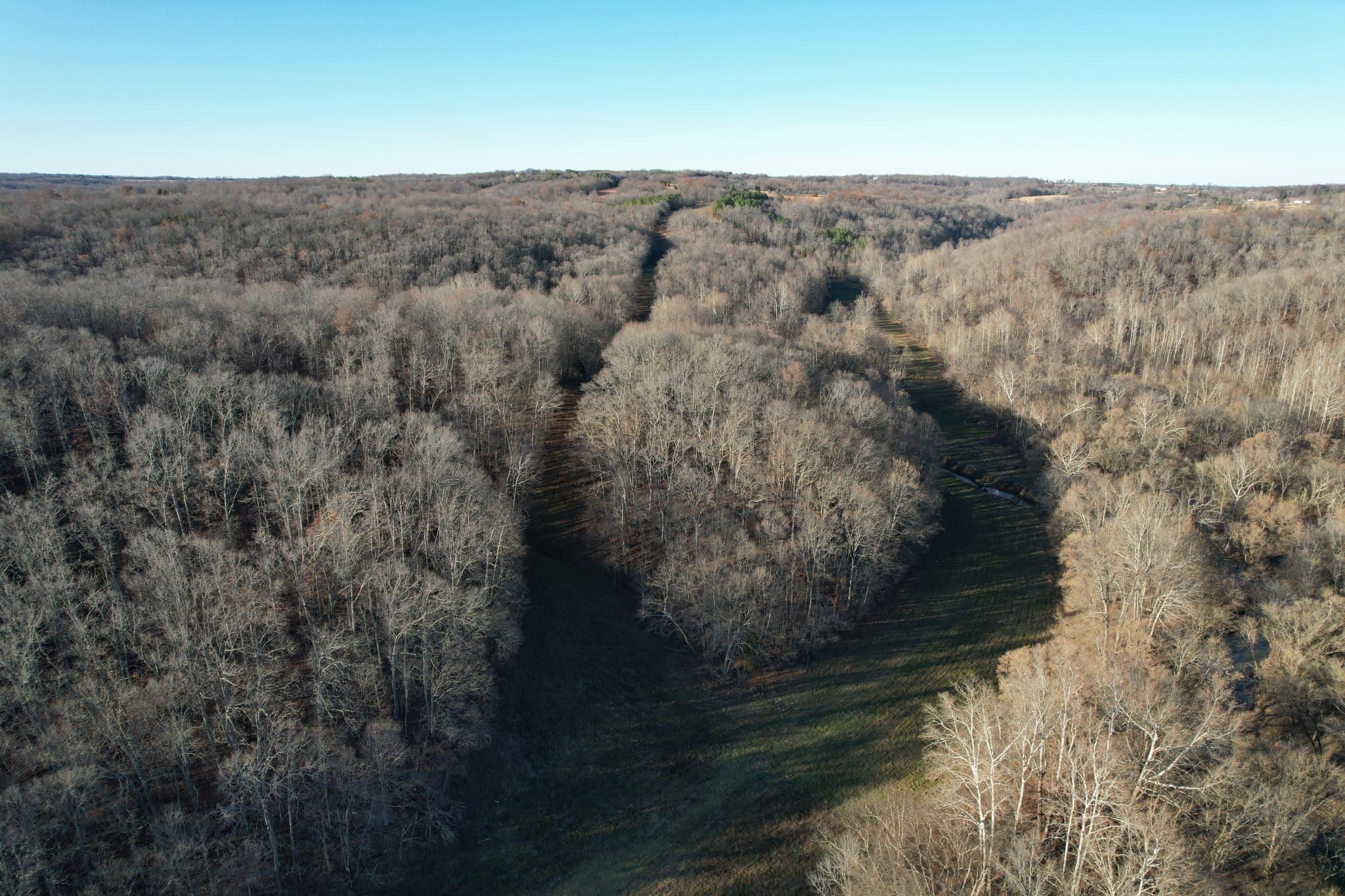 000 Bowman Bottoms Rd, Tunnel Hill, IL 62972 Land and Farm