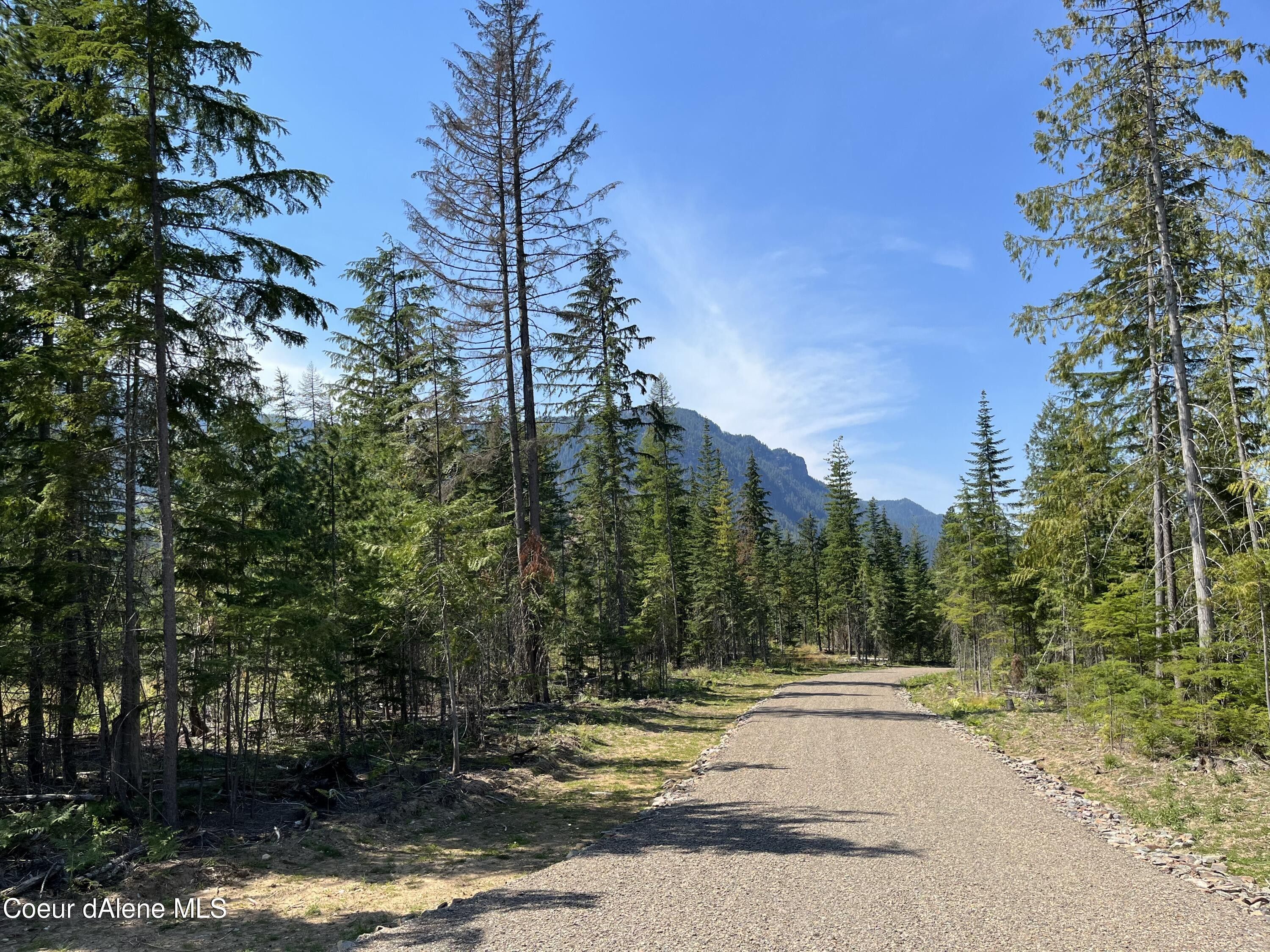 10.03 Acres, NKA Highway 200, Lot 2, Clark Fork, ID 83811 Land and Farm