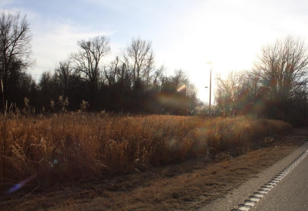 12.14 Acres, 00 HWY 59 LOT 19, Drummonds, TN 38023 Land and Farm