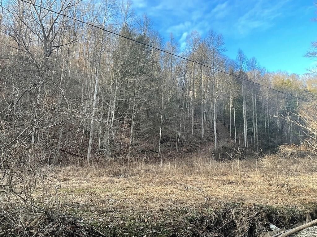 20 Acres, 401 Ogden Br Rd, Hindman, KY 41722 Land and Farm