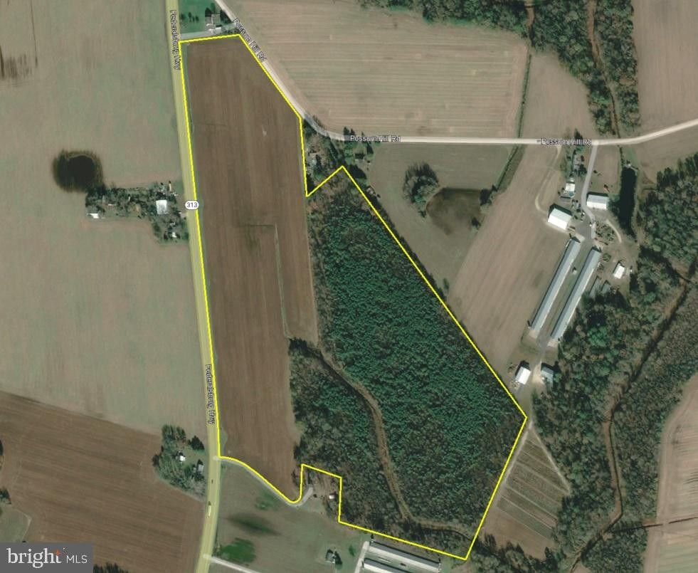 55.5 Acres, FEDERALSURG HIGHWAY, Federalsburg, MD 21632 Land and Farm