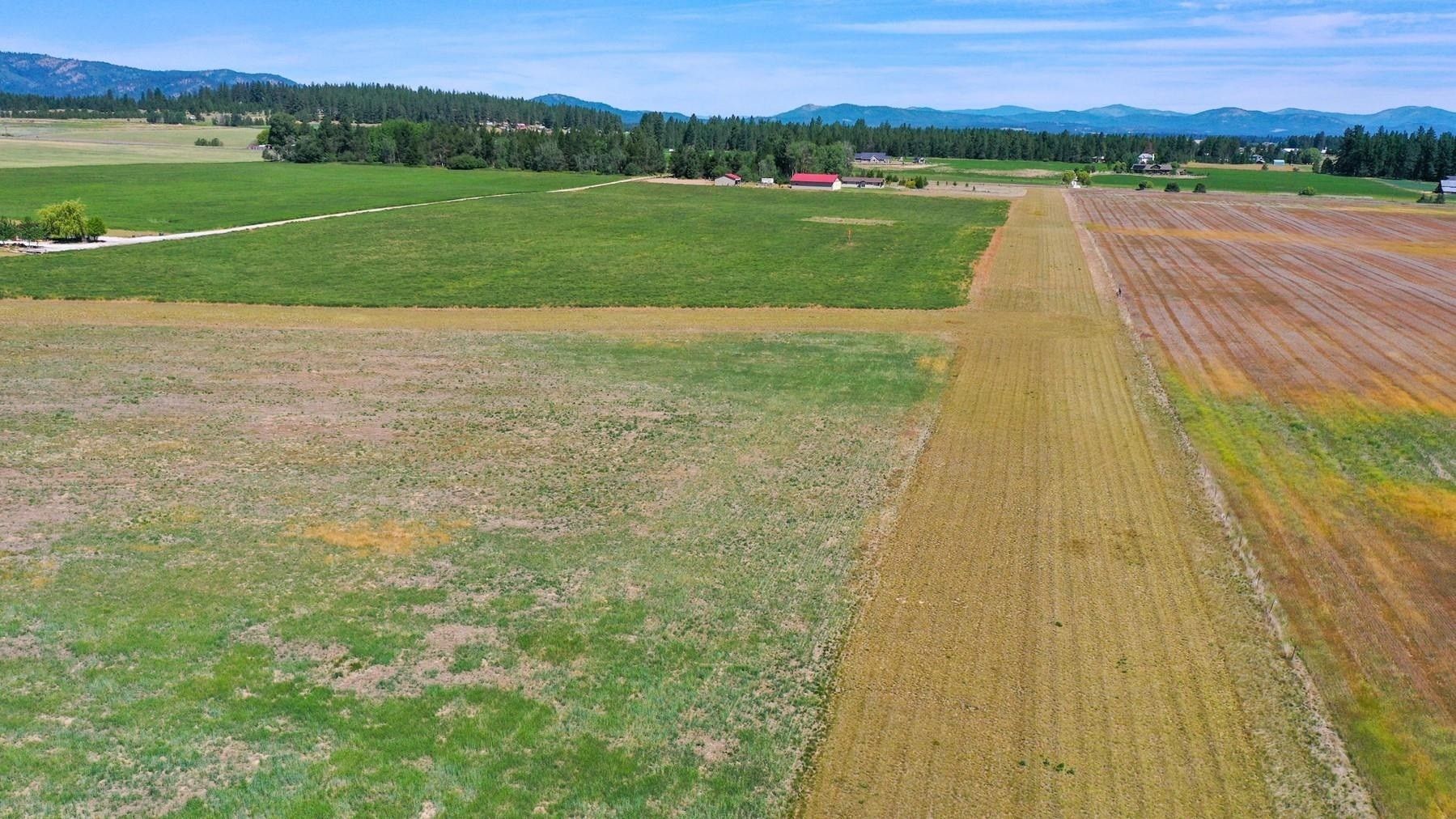 20.14 Acres, 50xx W Glen Grove Staley, Deer Park, WA 99006 Land and Farm