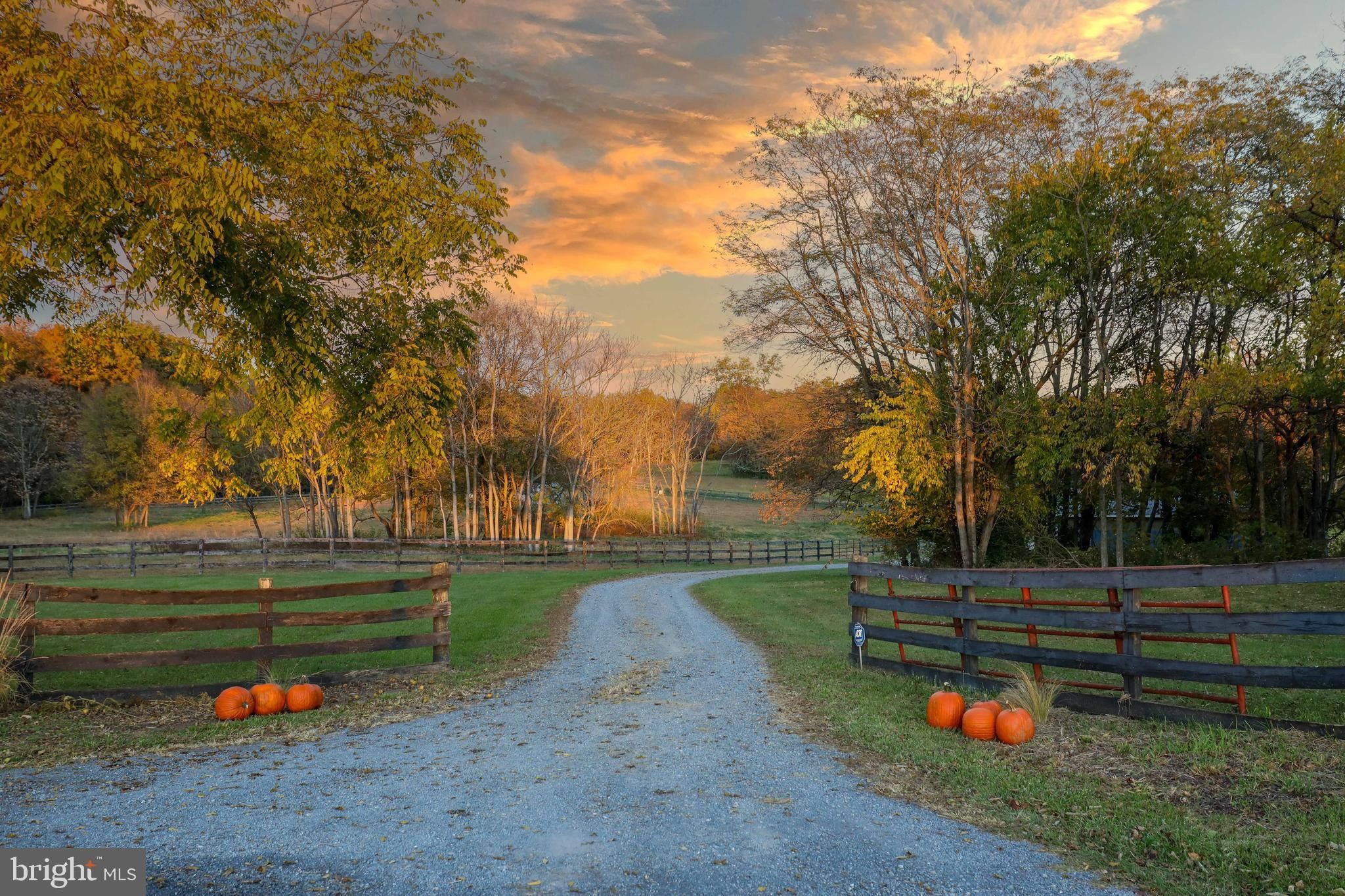37.33 Acres, 1524 ALLEN ROAD, Berryville, VA 22611 Land and Farm