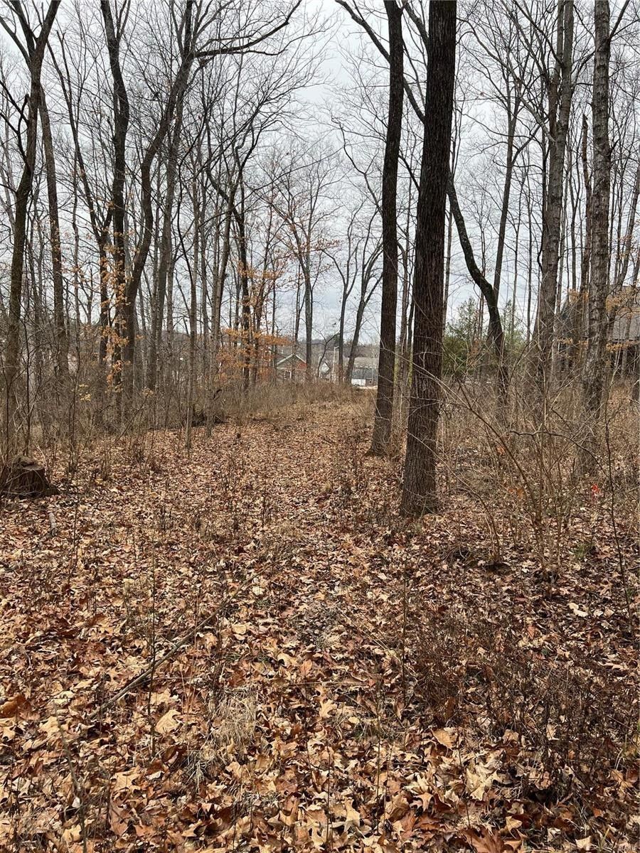 0.34 Acres, 1831 Dixie Street, Cape Girardeau, MO 63701 Land and Farm