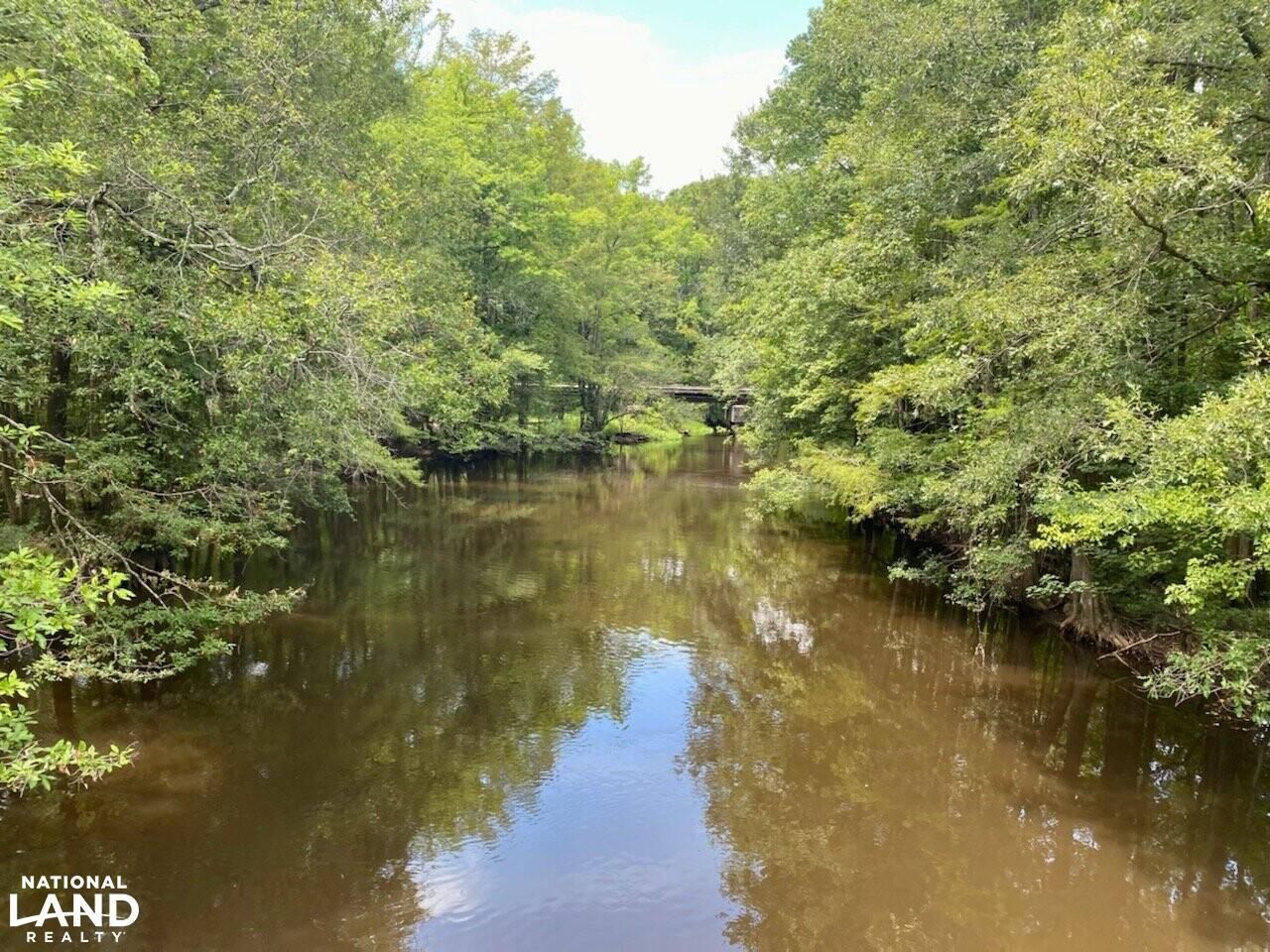 168 Acres, CharlestonAugusta Rd, Denmark, SC 29042 Land and Farm