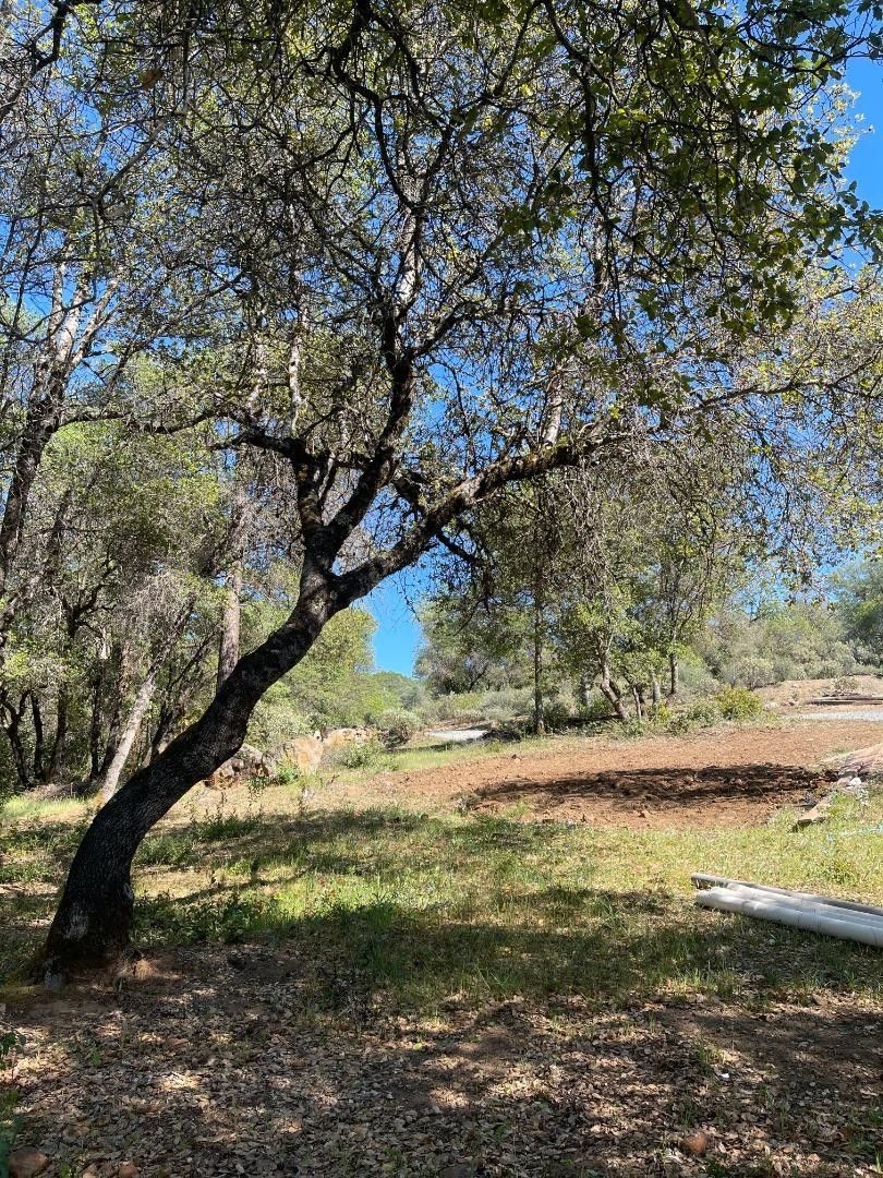 27 Acres, 11550 Rex Reservoir, Grass Valley, CA 95945 Land and Farm