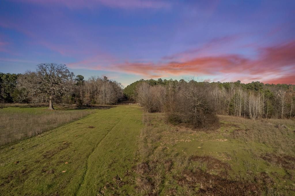 78.43 Acres, Tbd FM 1975, Gilmer, TX 75644 Land and Farm