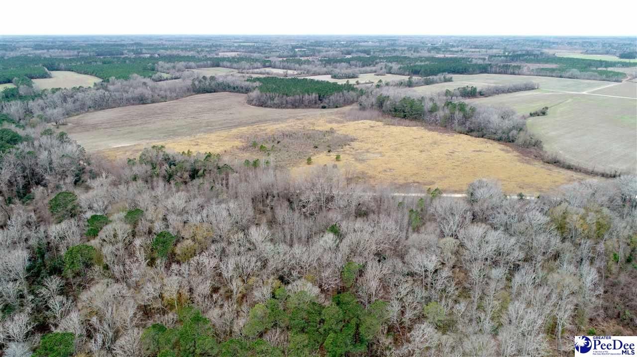 43.6 Acres, 000 Heidt RD, Clio, SC 295200000 Land and Farm