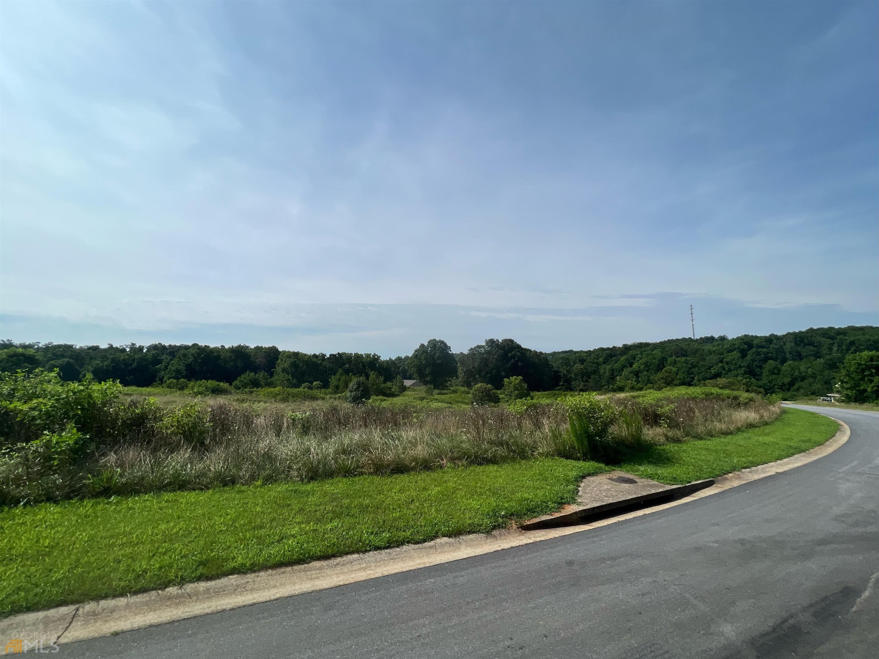 0.55 Acres, 323 Sweetgrass Drive, Demorest, GA 30535 Land and Farm